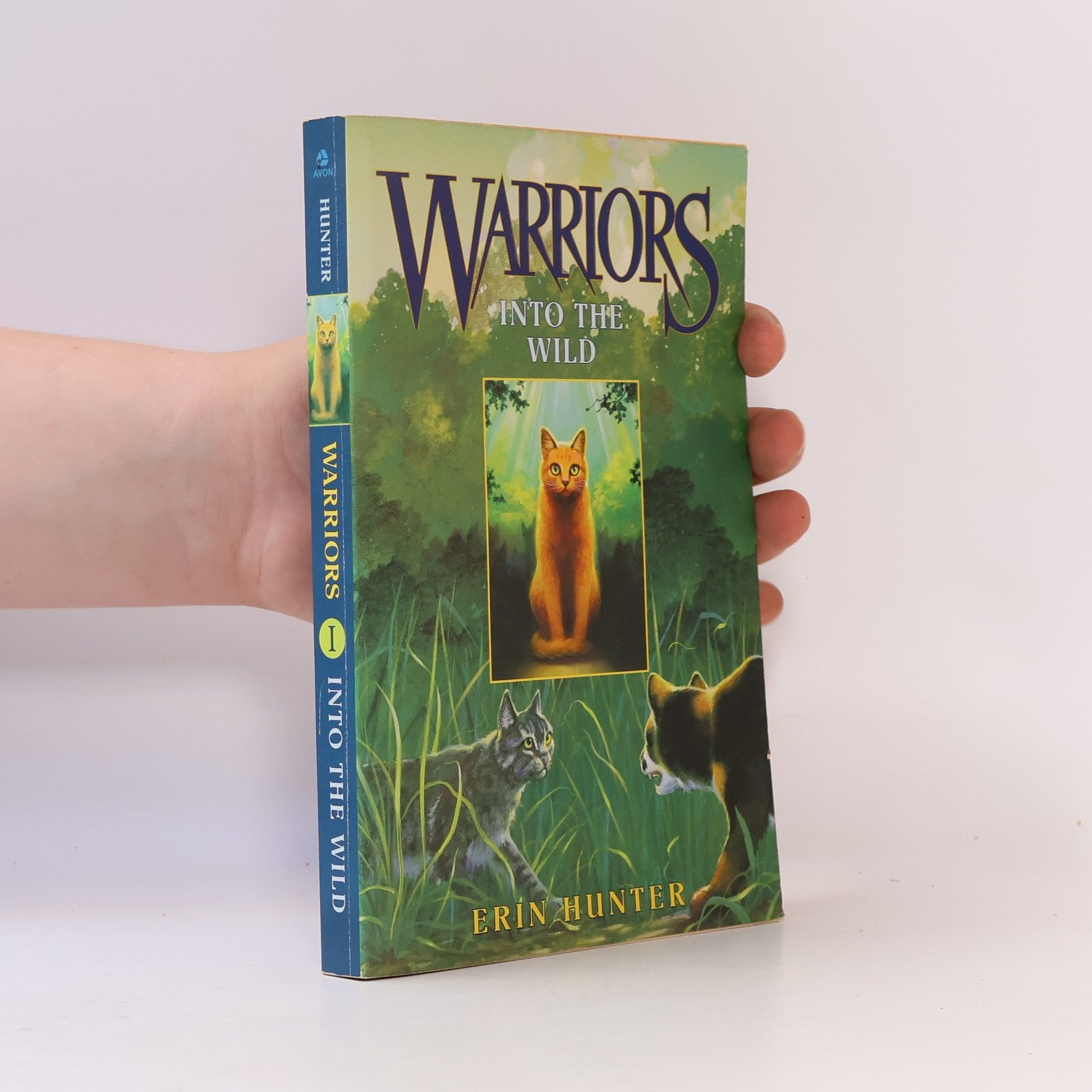 Erin Hunter Warriors 1 Into the Wild
