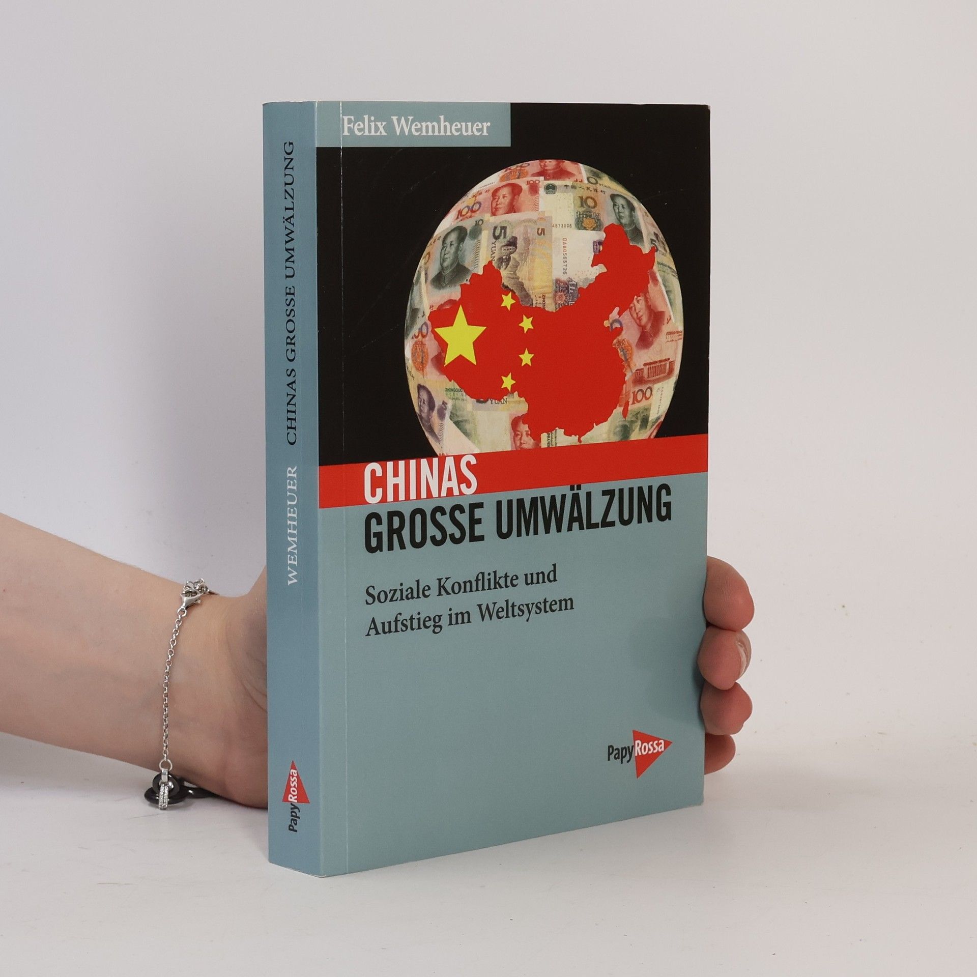 Felix Wemheuer Chinas große Umwälzung