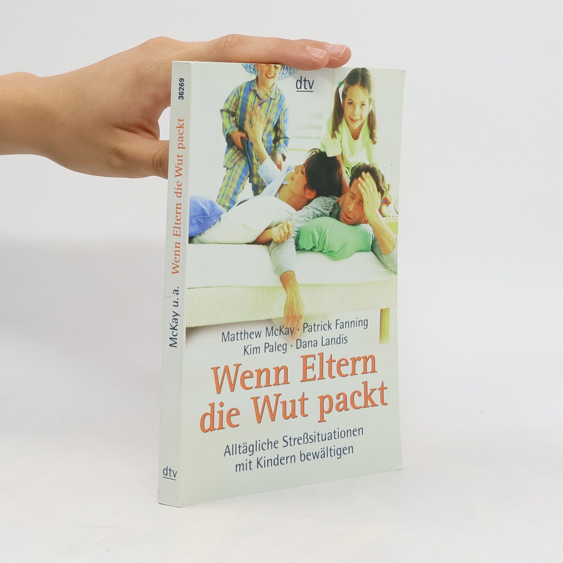 Matthew McKay Wenn Eltern die Wut packt