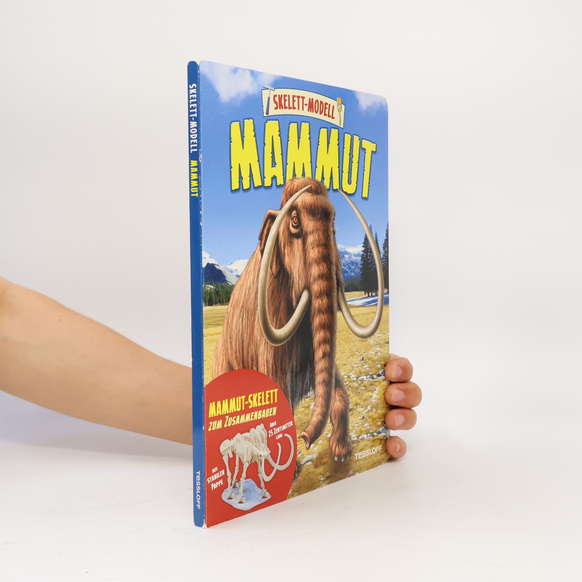 Unknown Author Skelett-Modell Mammut
