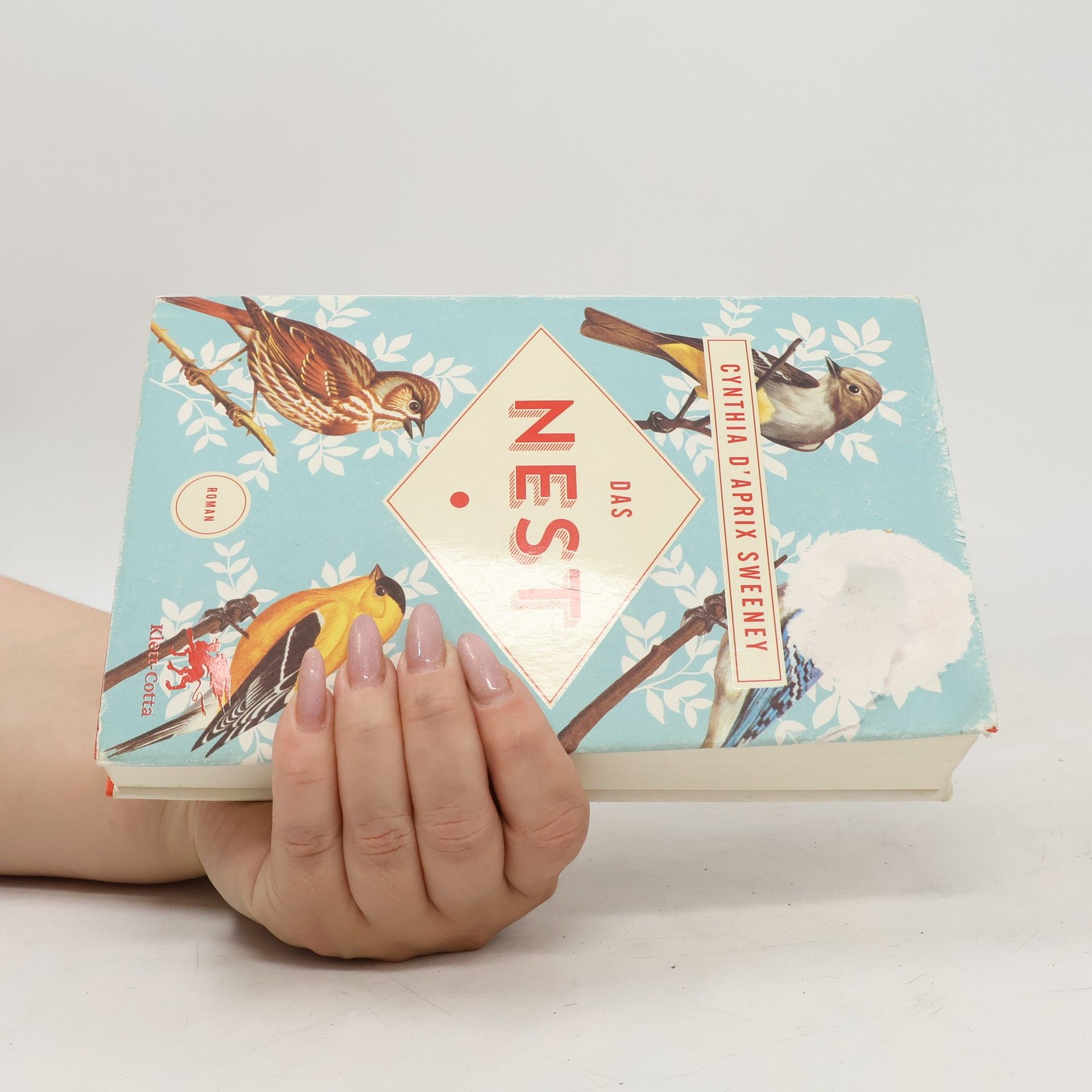 Cynthia D'Aprix Sweeney Das Nest