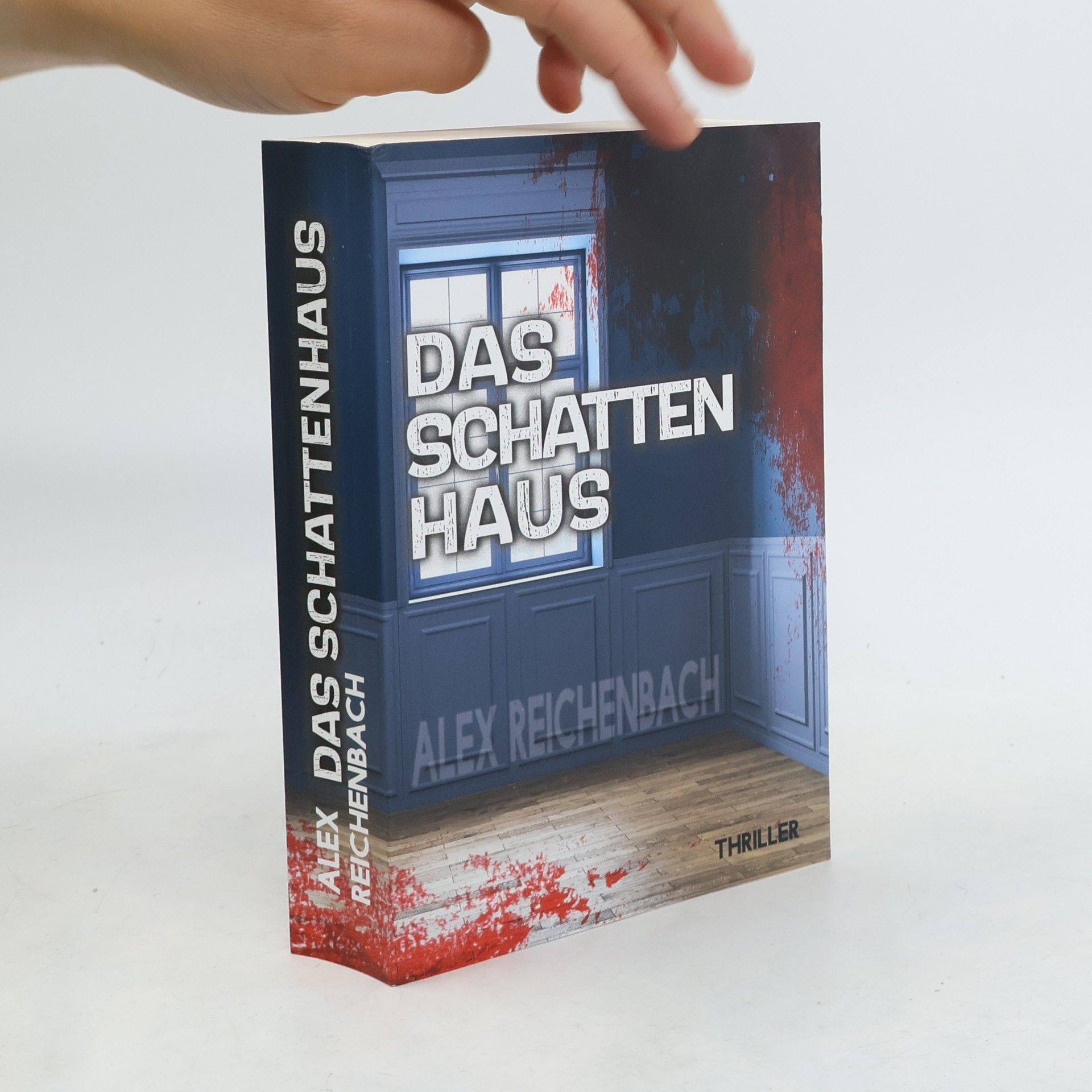 Alex Reichenbach Das Schattenhaus