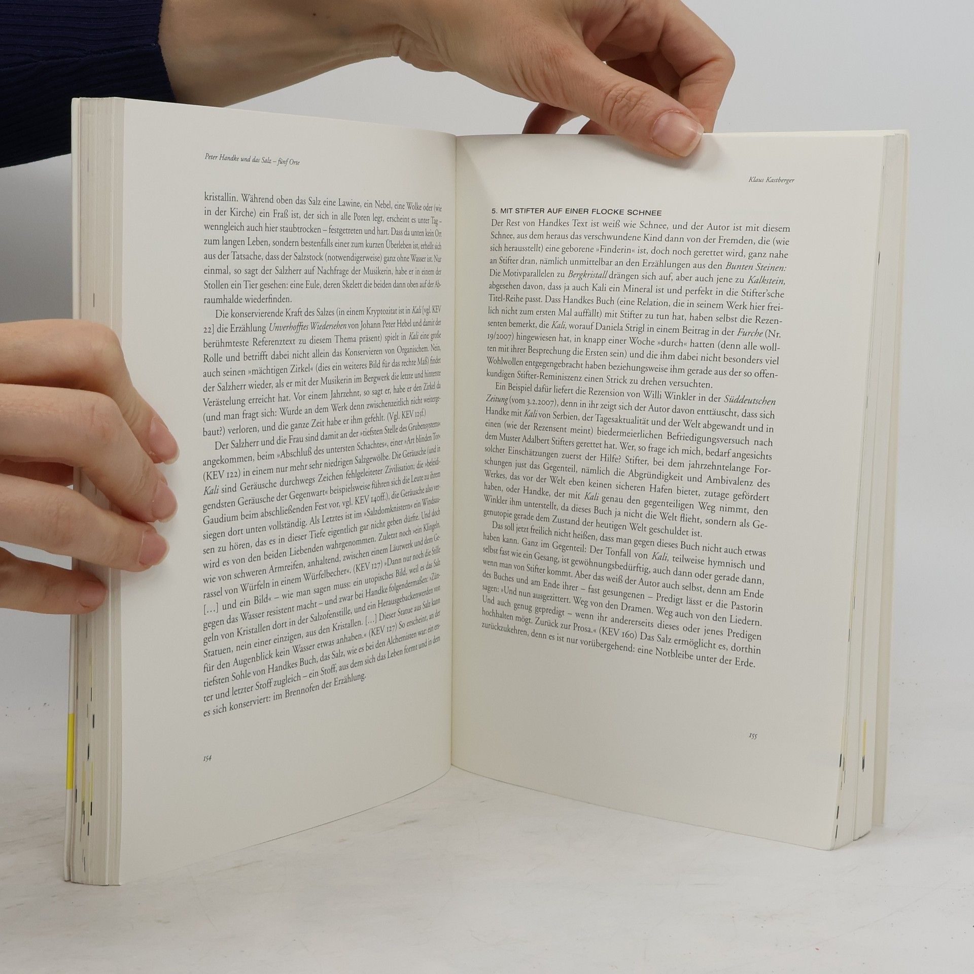 Klaus Kastberger Profile - 16: Peter Handke