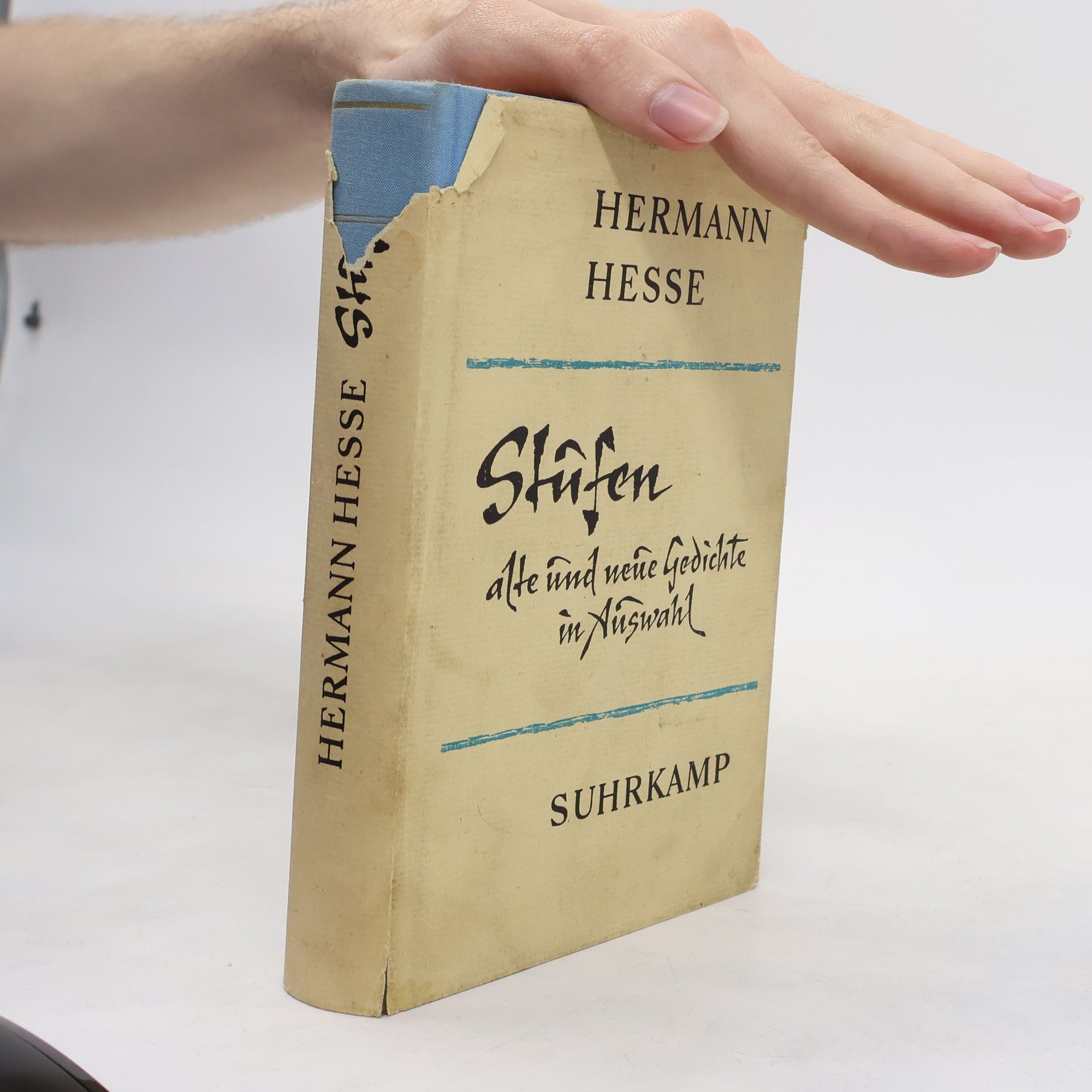 Hermann Hesse Stufen