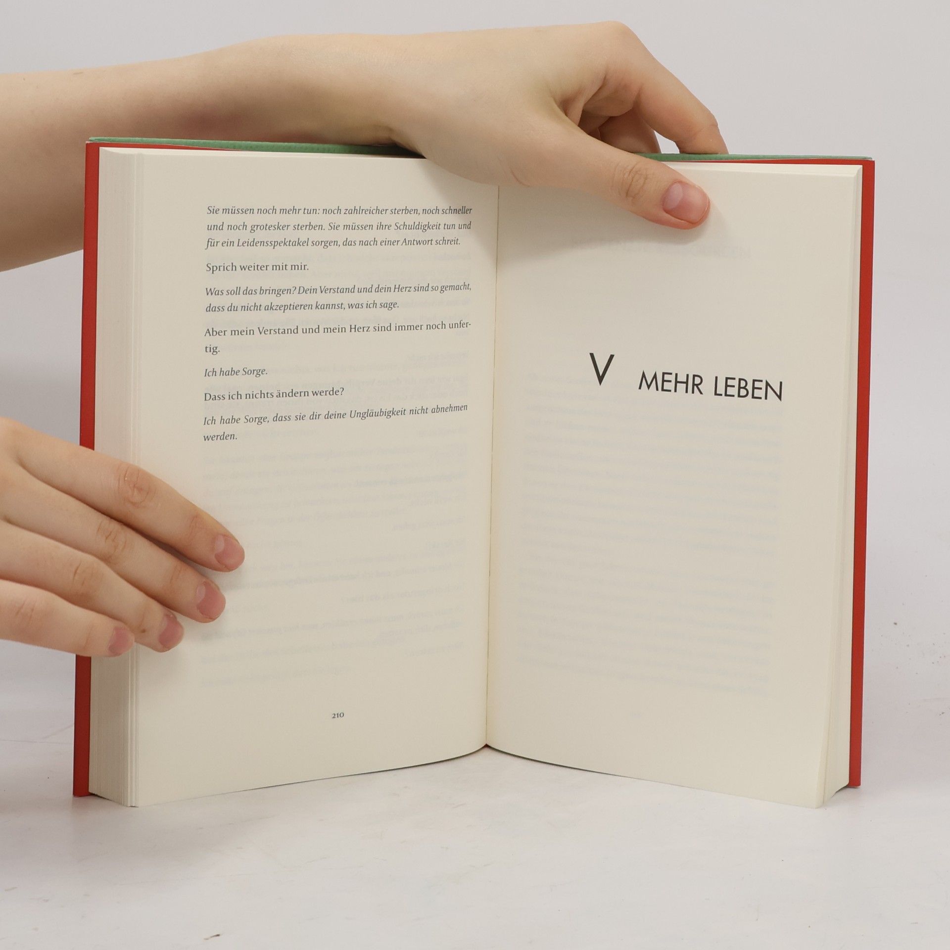 Jonathan Safran Foer Wir sind das Klima!