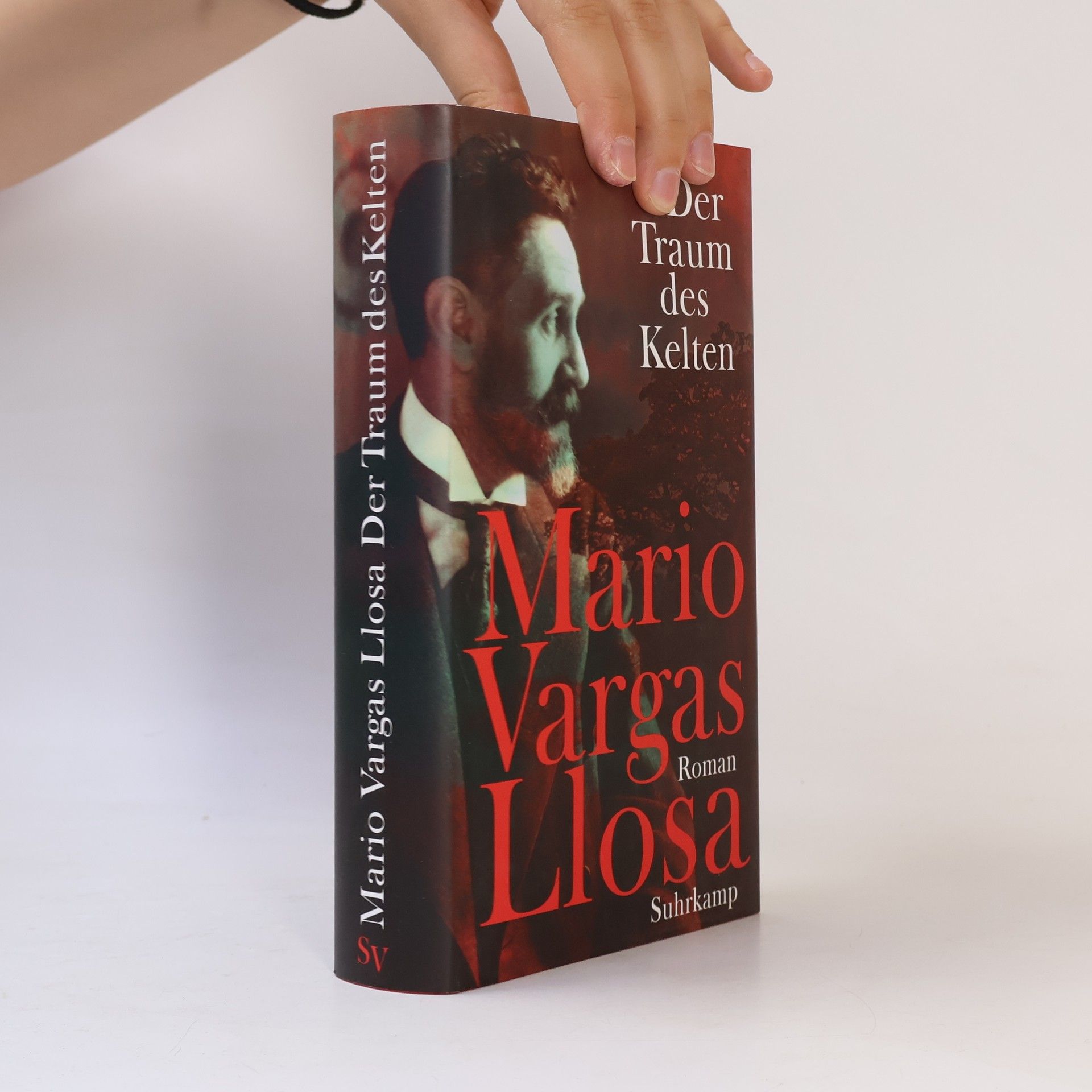 Mario Vargas Llosa Der Traum des Kelten