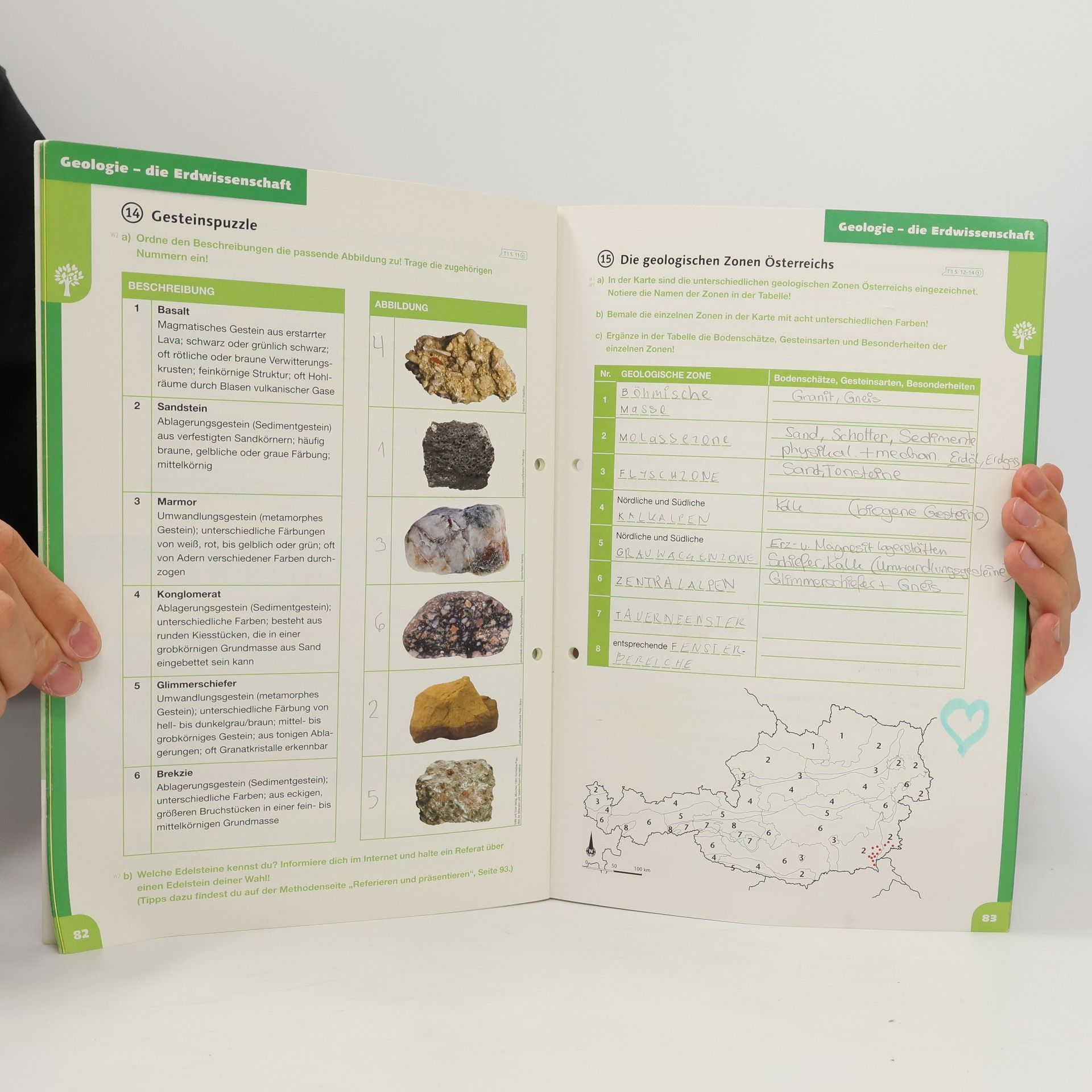 Autorenkollektiv Mehrfach Biologie 3