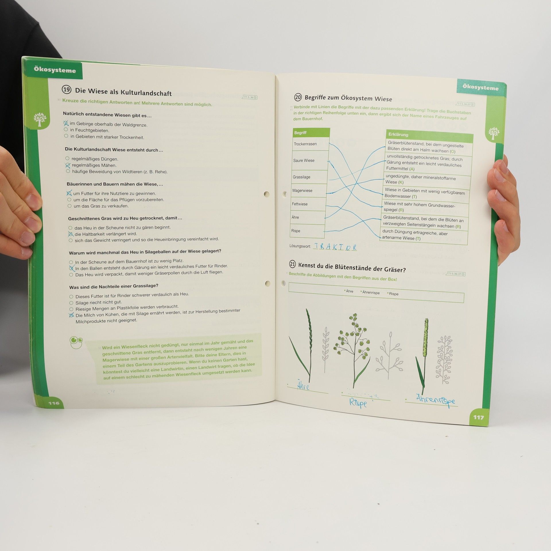 Autorenkollektiv Mehrfach Biologie 3
