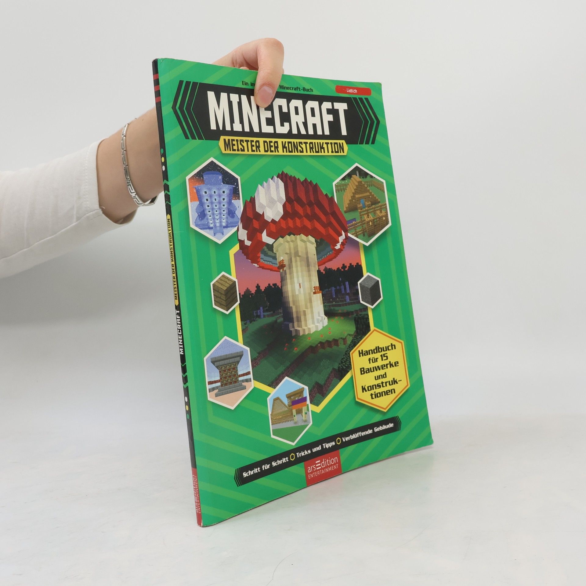 Joey Davey Minecraft - Meister der Konstruktion