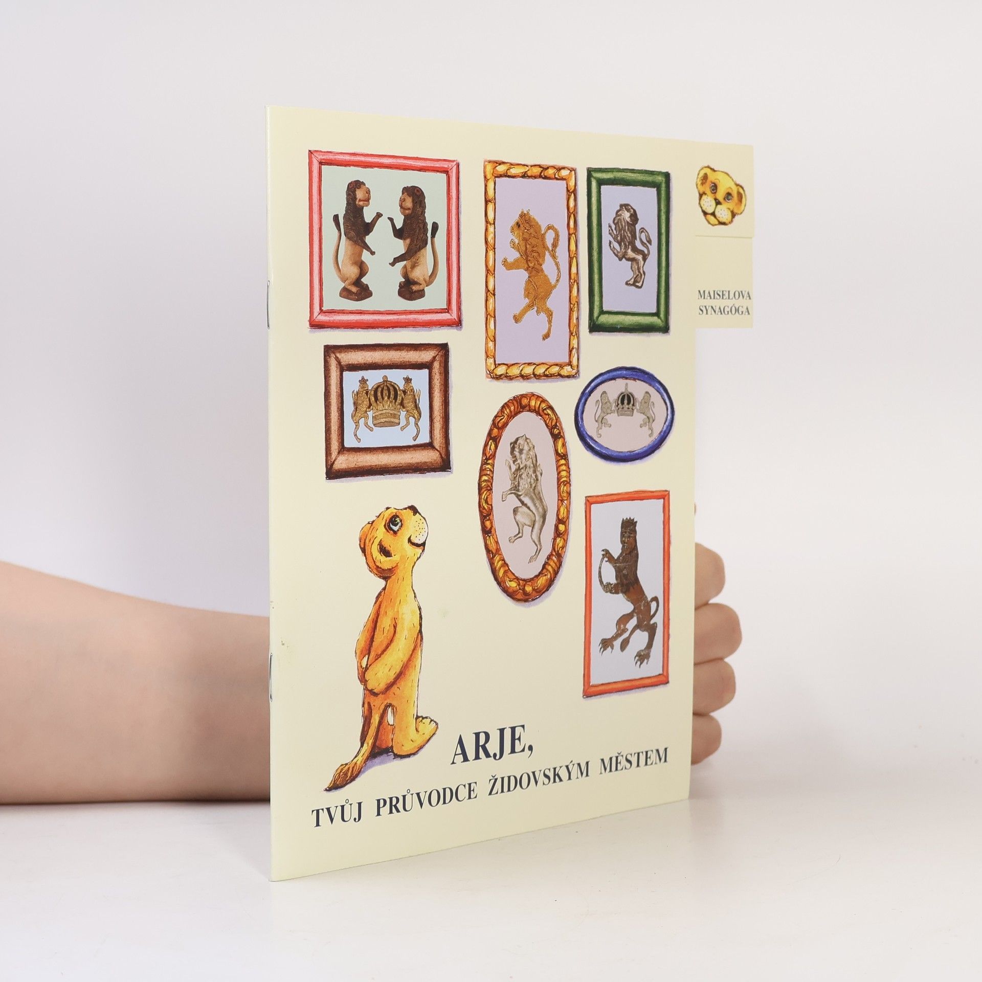 Autorenkollektiv Arje, Tvůj průvodce židovským světem