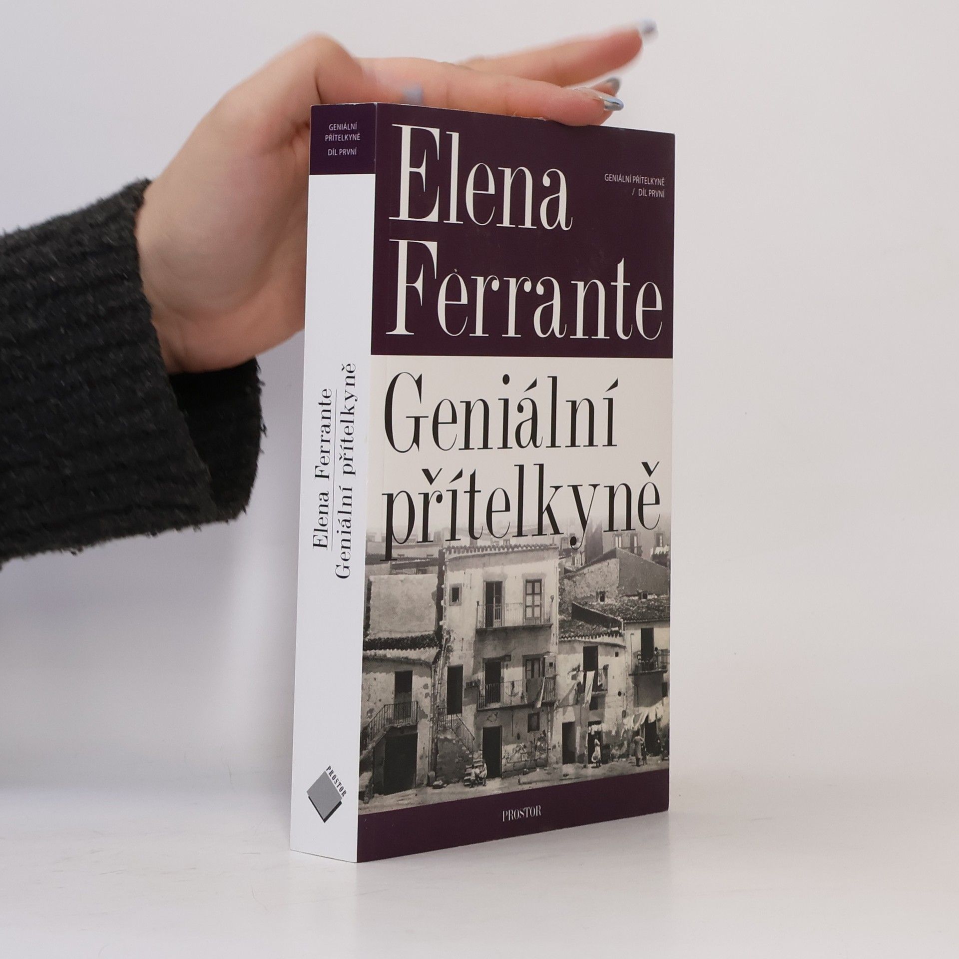 Elena Ferrante Geniální přítelkyně 1. Dětství a dospívání