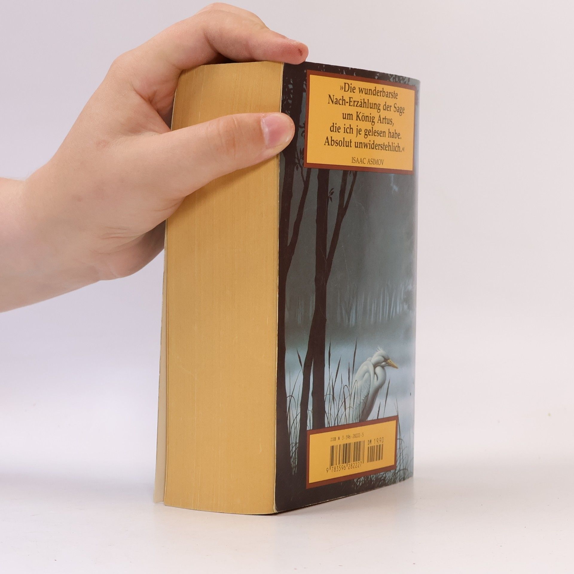 Marion Zimmer Bradley Die Nebel von Avalon