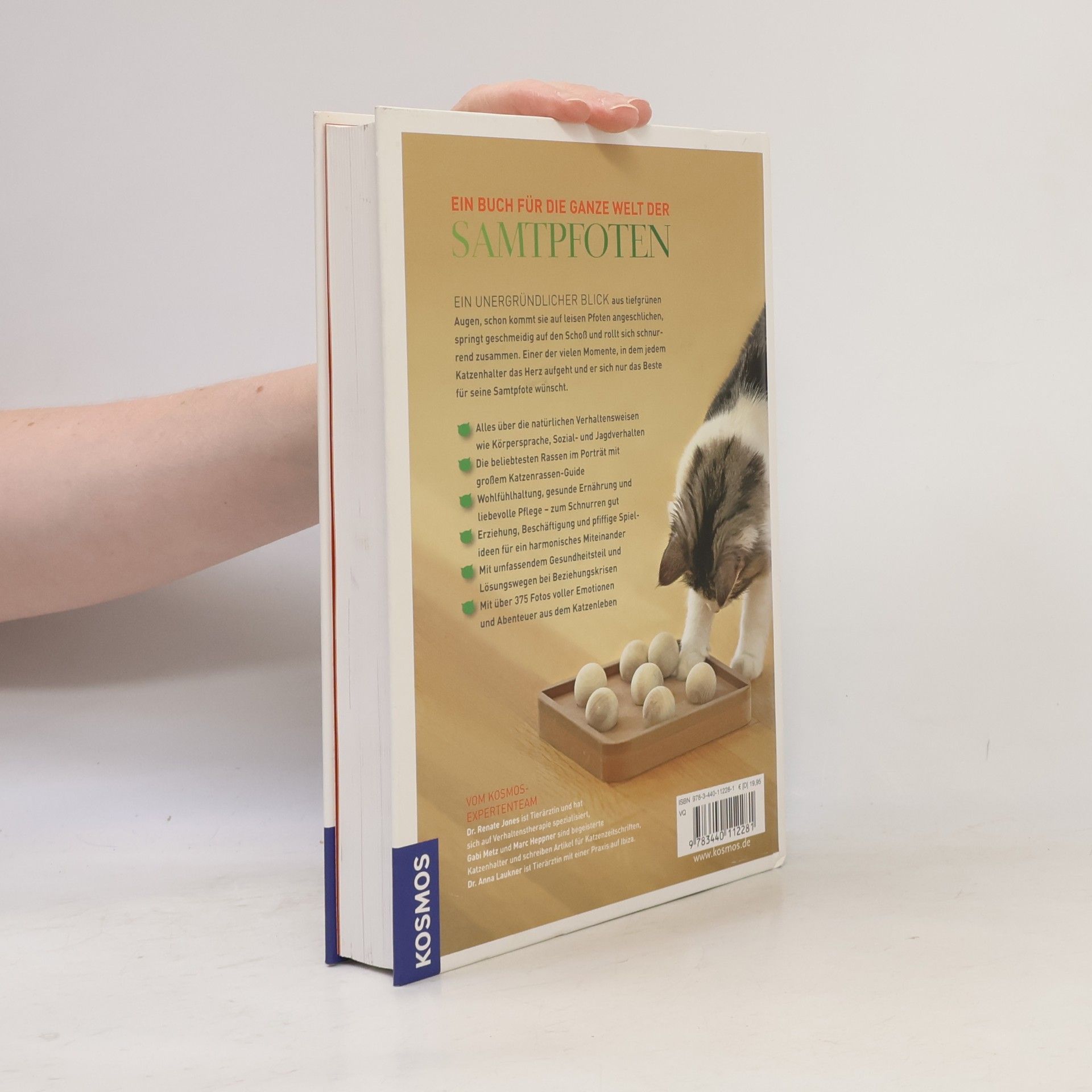 Renate Jones Das Kosmos-Handbuch Katzen