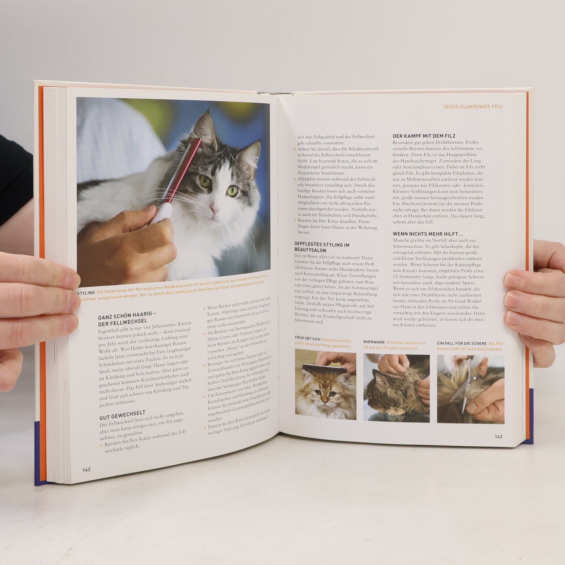 Renate Jones Das Kosmos-Handbuch Katzen