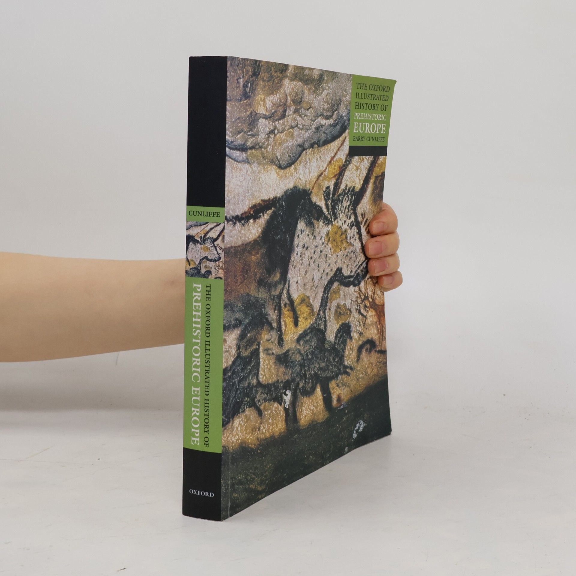 Barry W. Cunliffe Oxford Illustrated Histories: The Oxford Illustrated History of Prehistoric Europe