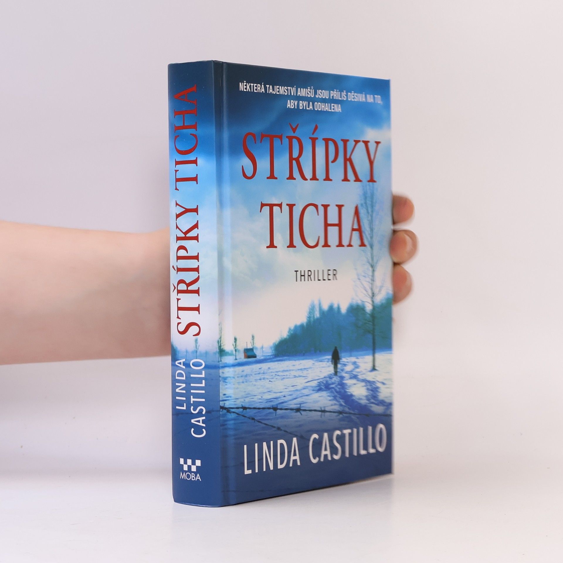 Linda Castillo Střípky ticha