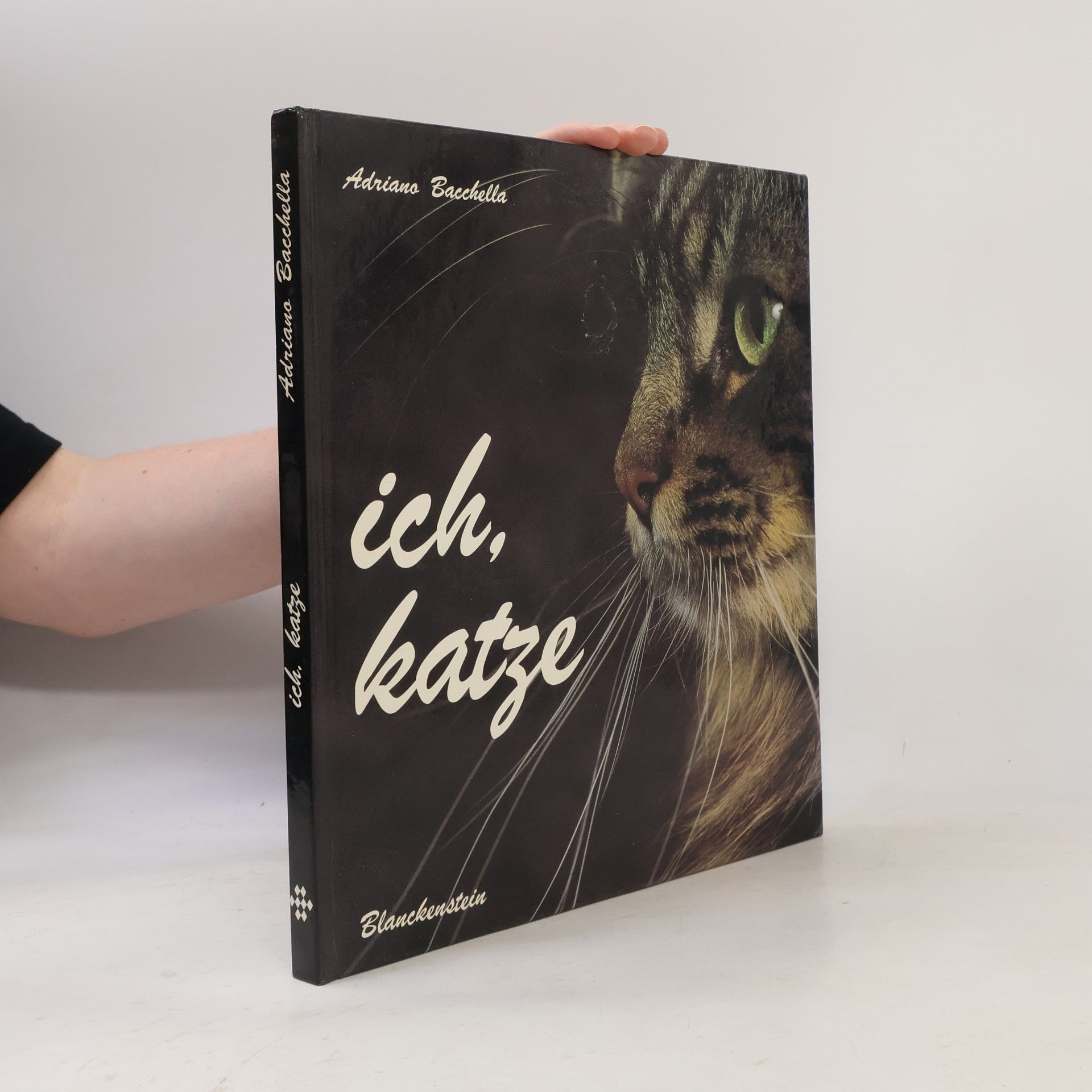 Adriano Bacchella Ich, Katze