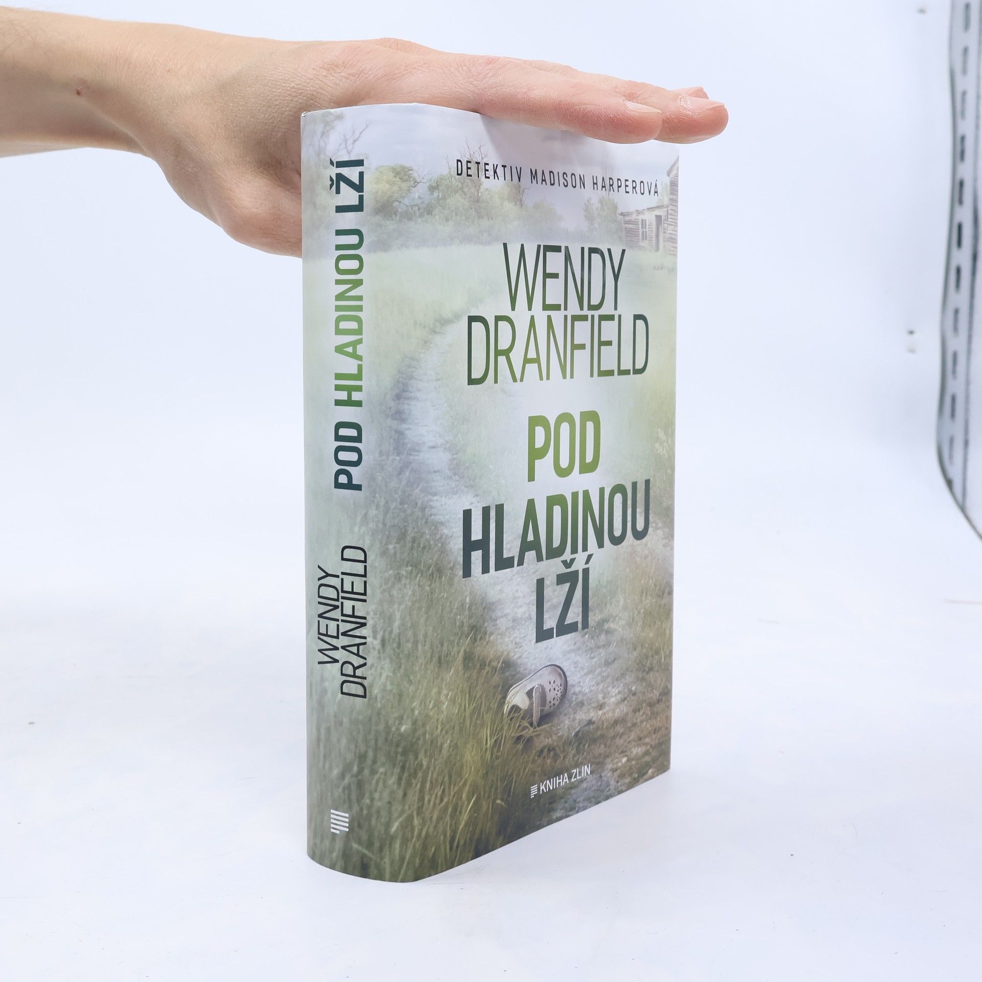 Wendy Dranfield Pod hladinou lží