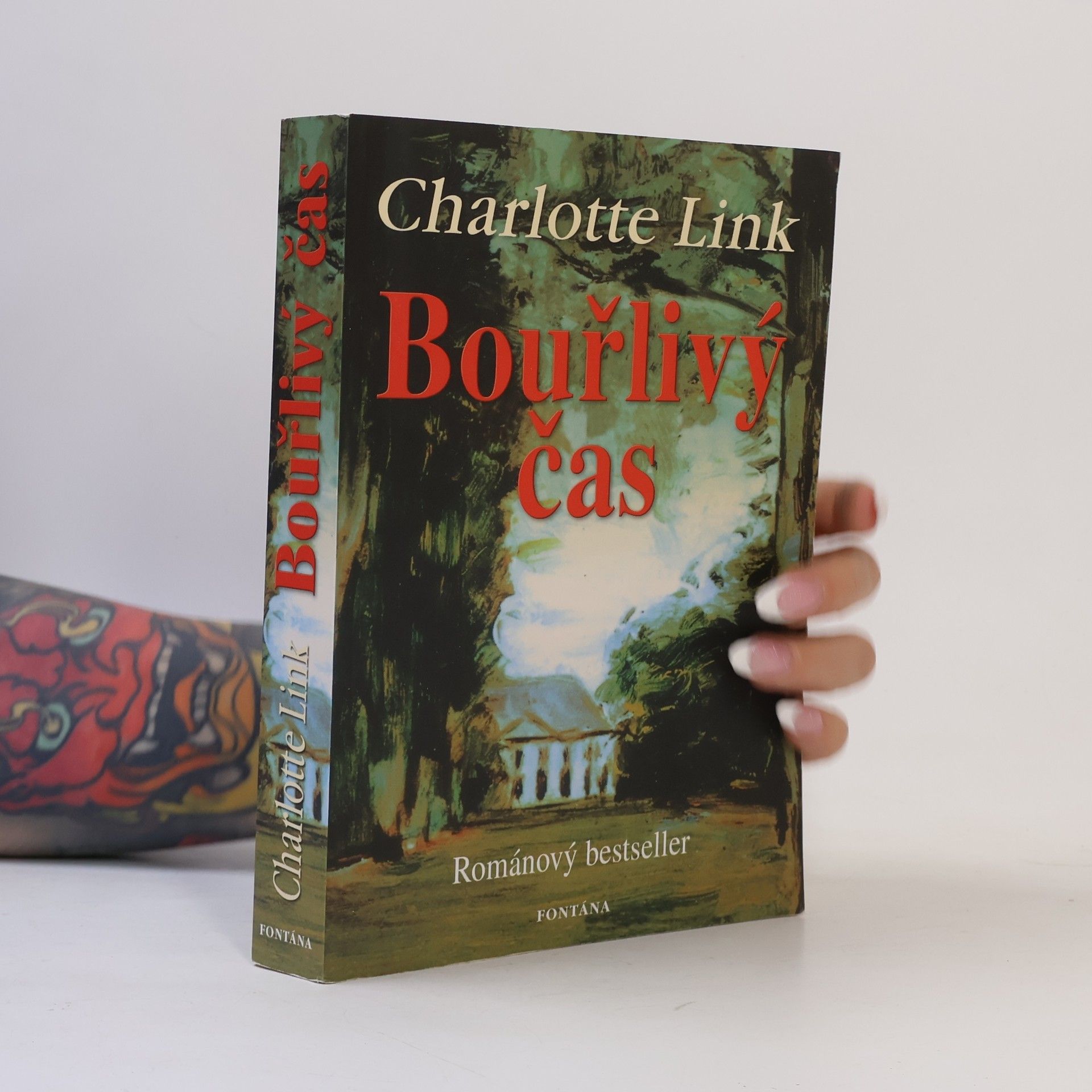 Charlotte Link Bouřlivý čas