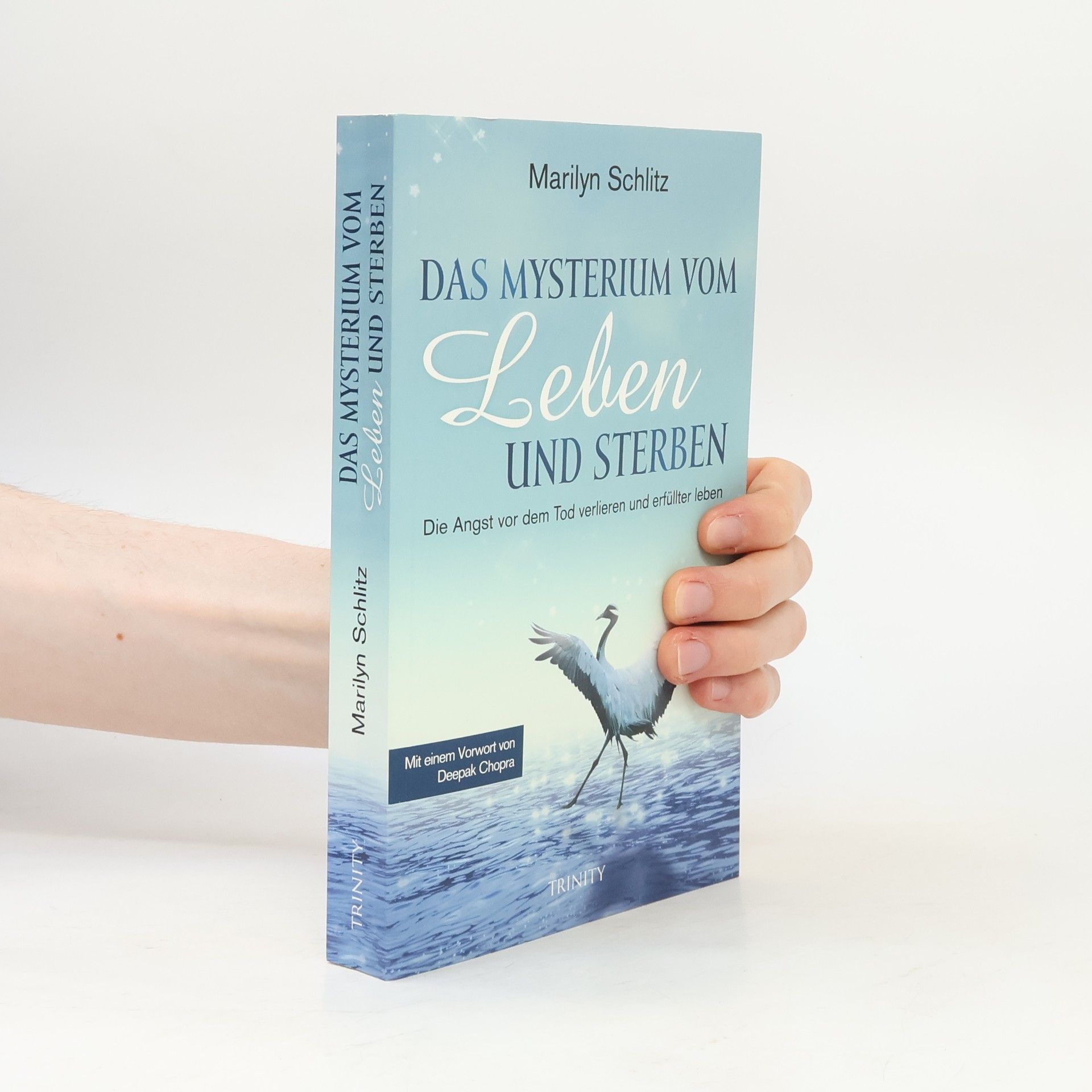 Marilyn Schlitz Das Mysterium von Leben und Sterben