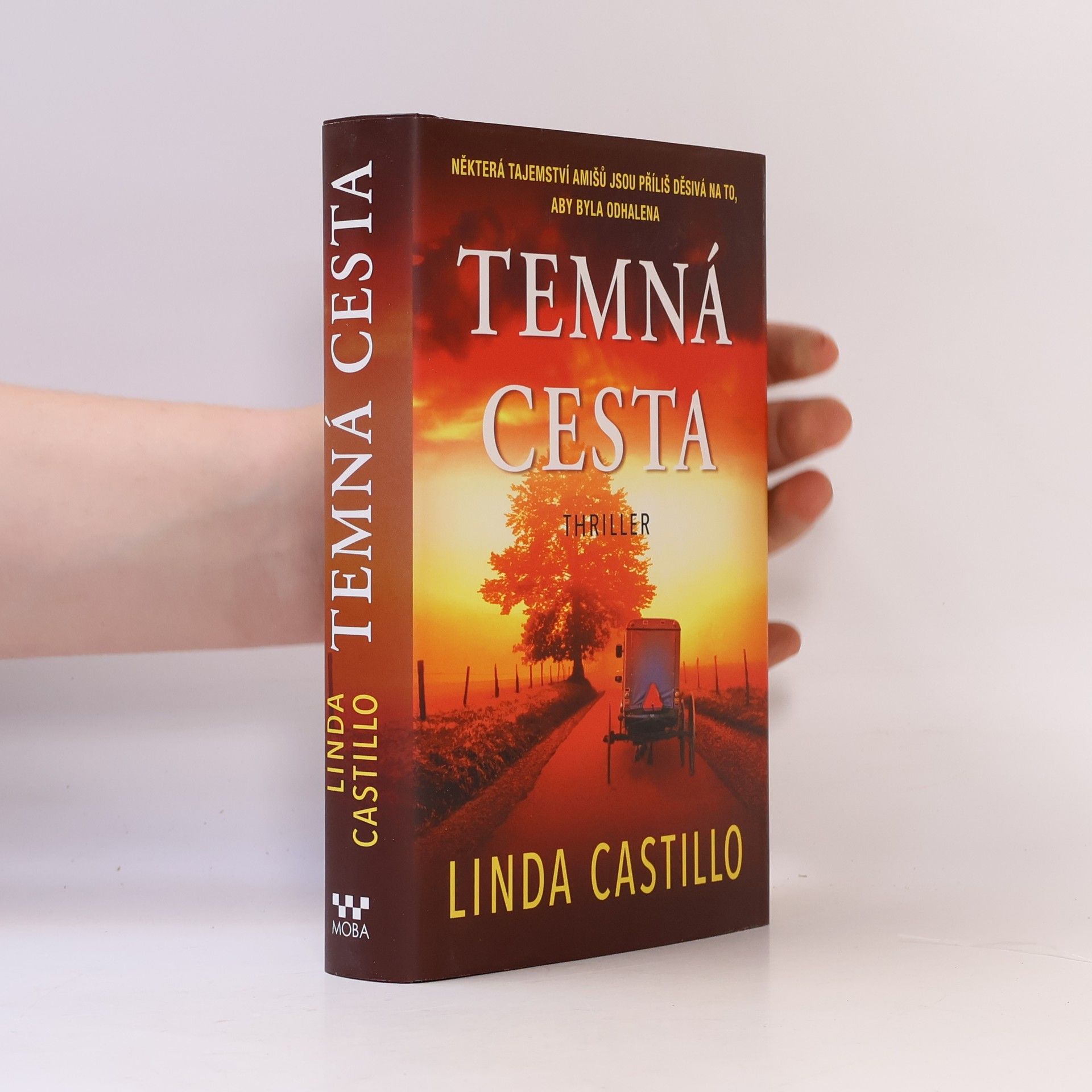 Linda Castillo Temná cesta