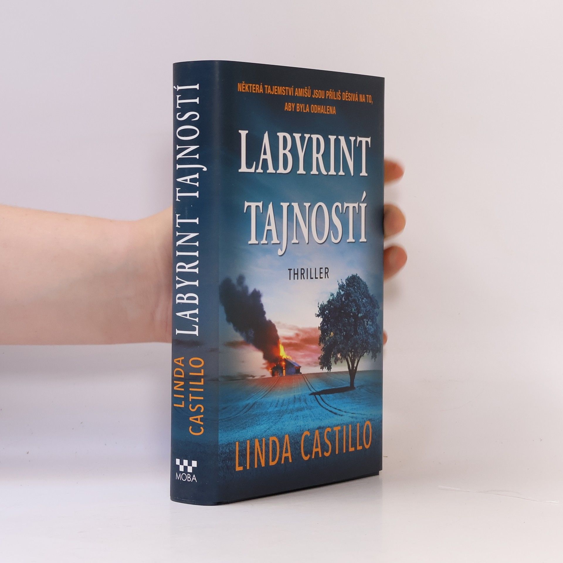 Linda Castillo Labyrint tajností