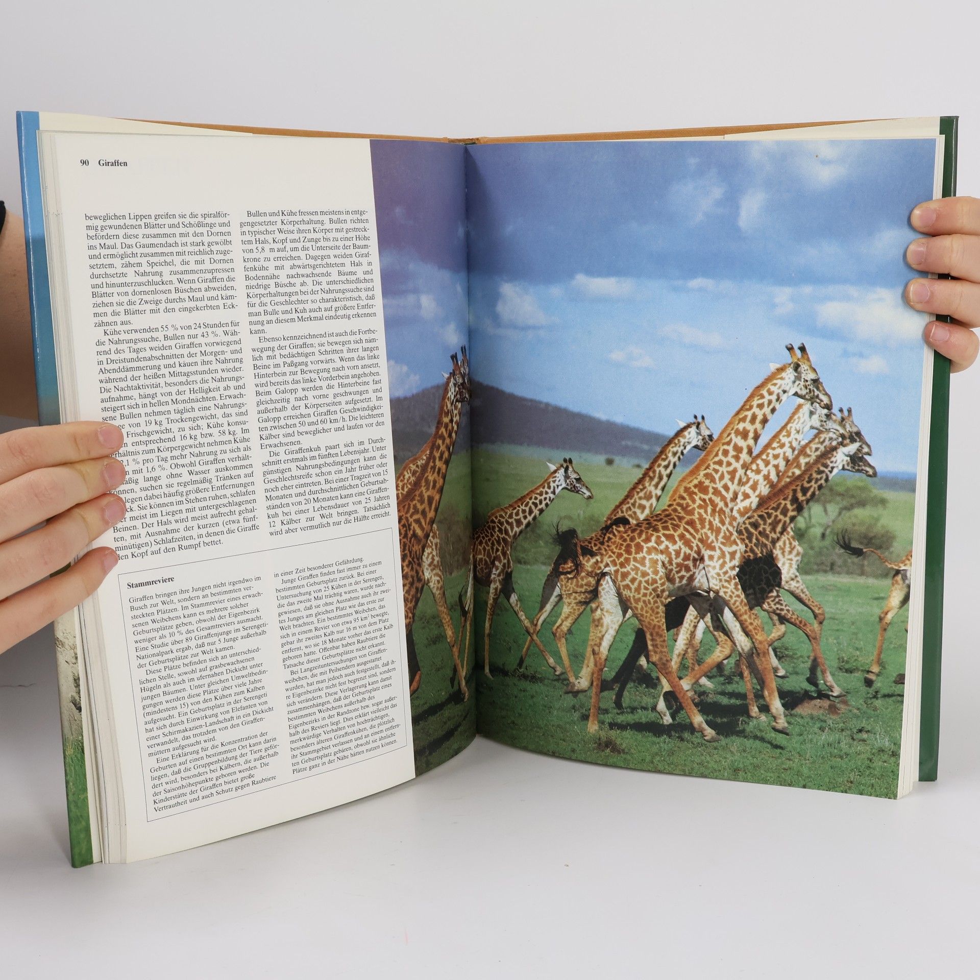 Graham Bateman Die Tiere der Welt 4