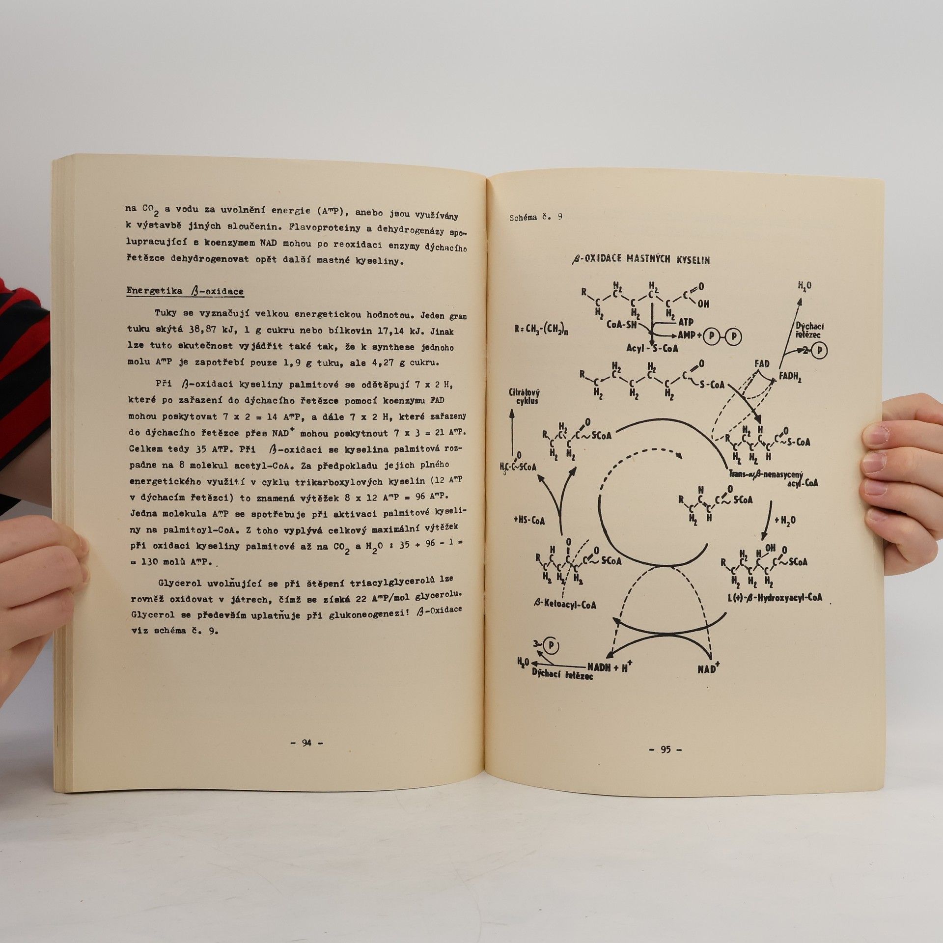 Ladislav Malota Učební texty z biochemie pro posluchače veterinárního lékařství