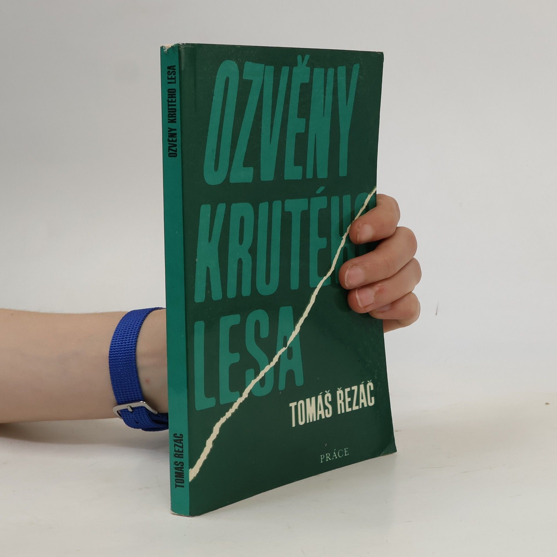 Ozvěny krutého lesa