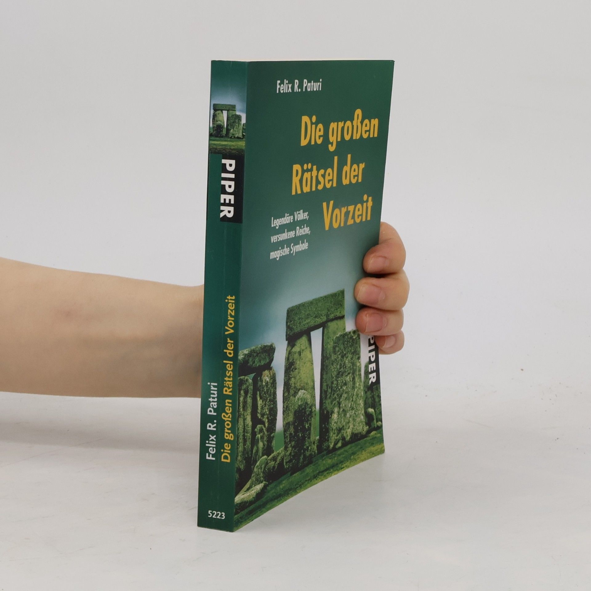 Felix R. Paturi Die großen Rätsel der Vorzeit