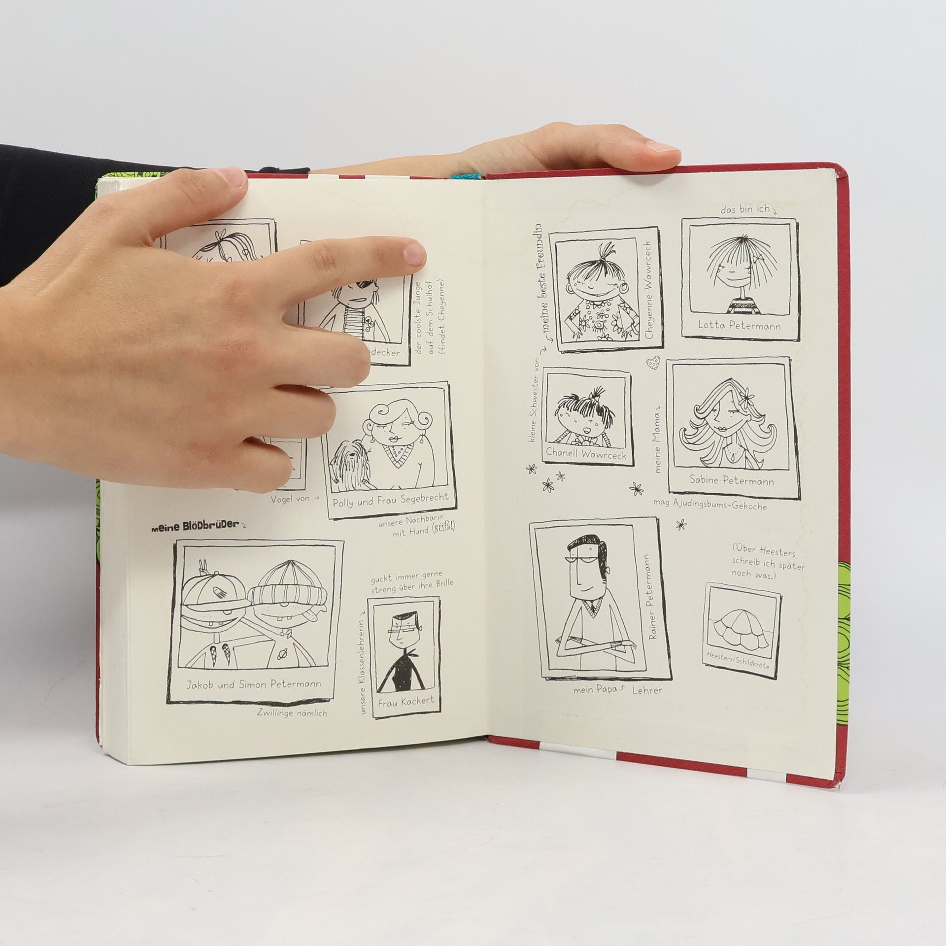 Alice Pantermüller Mein Lotta-leben