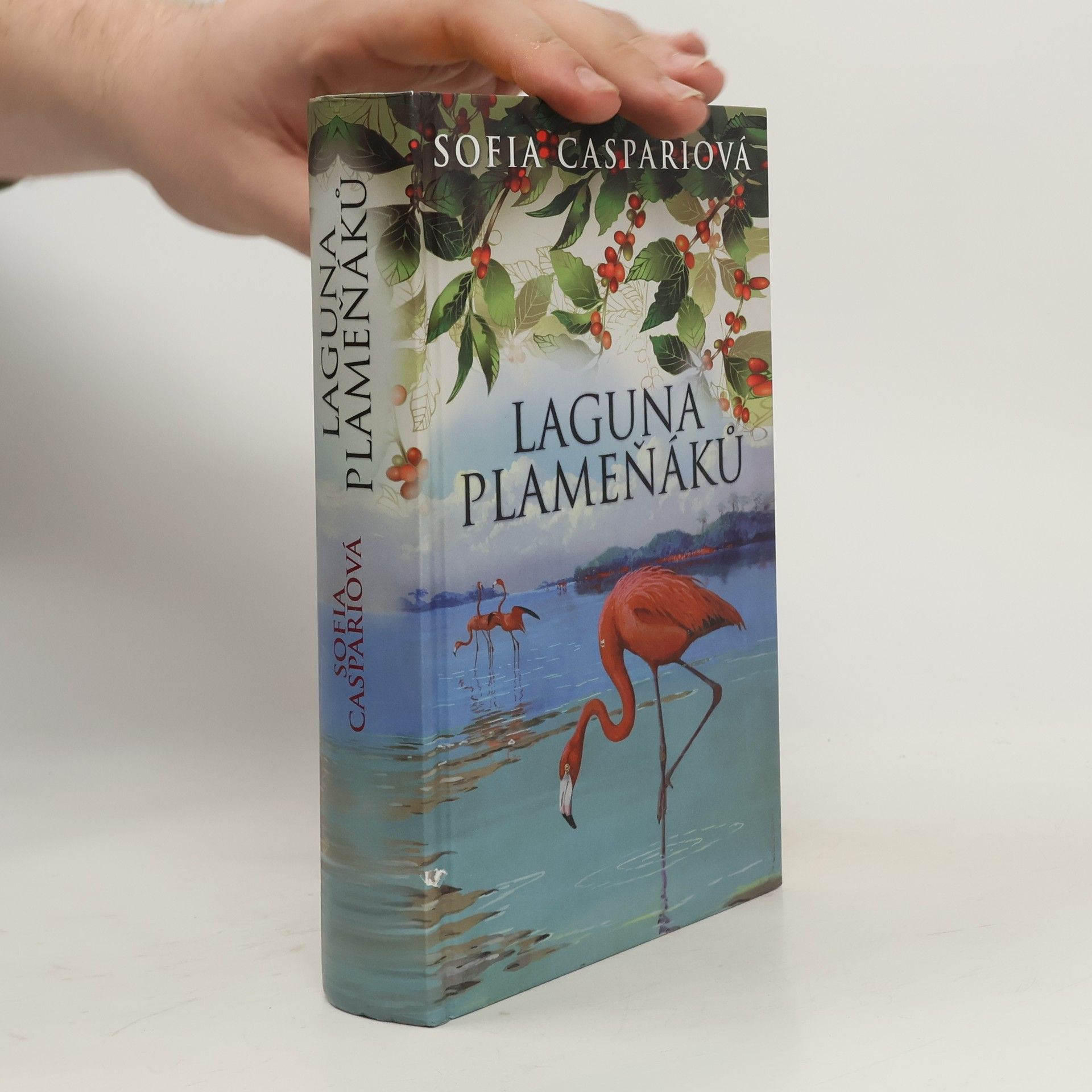 Sofia Caspari Laguna plameňáků