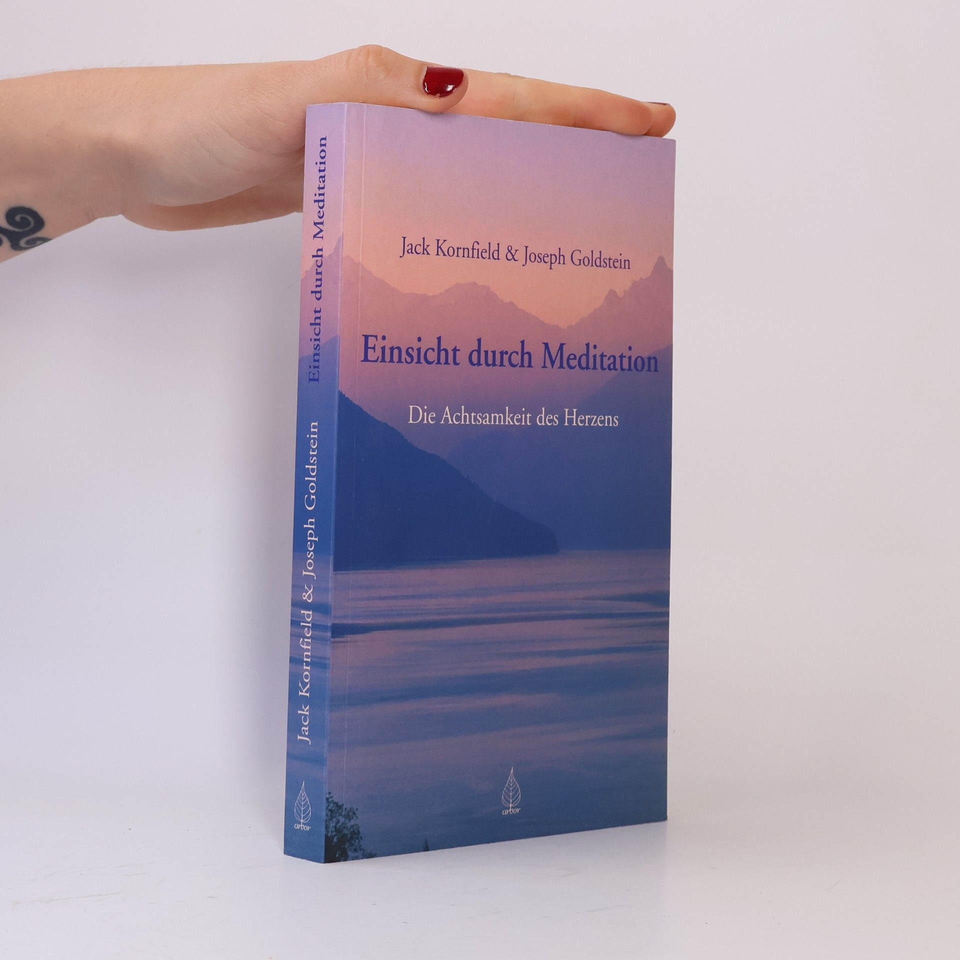 Jack Kornfield Einsicht durch Meditation