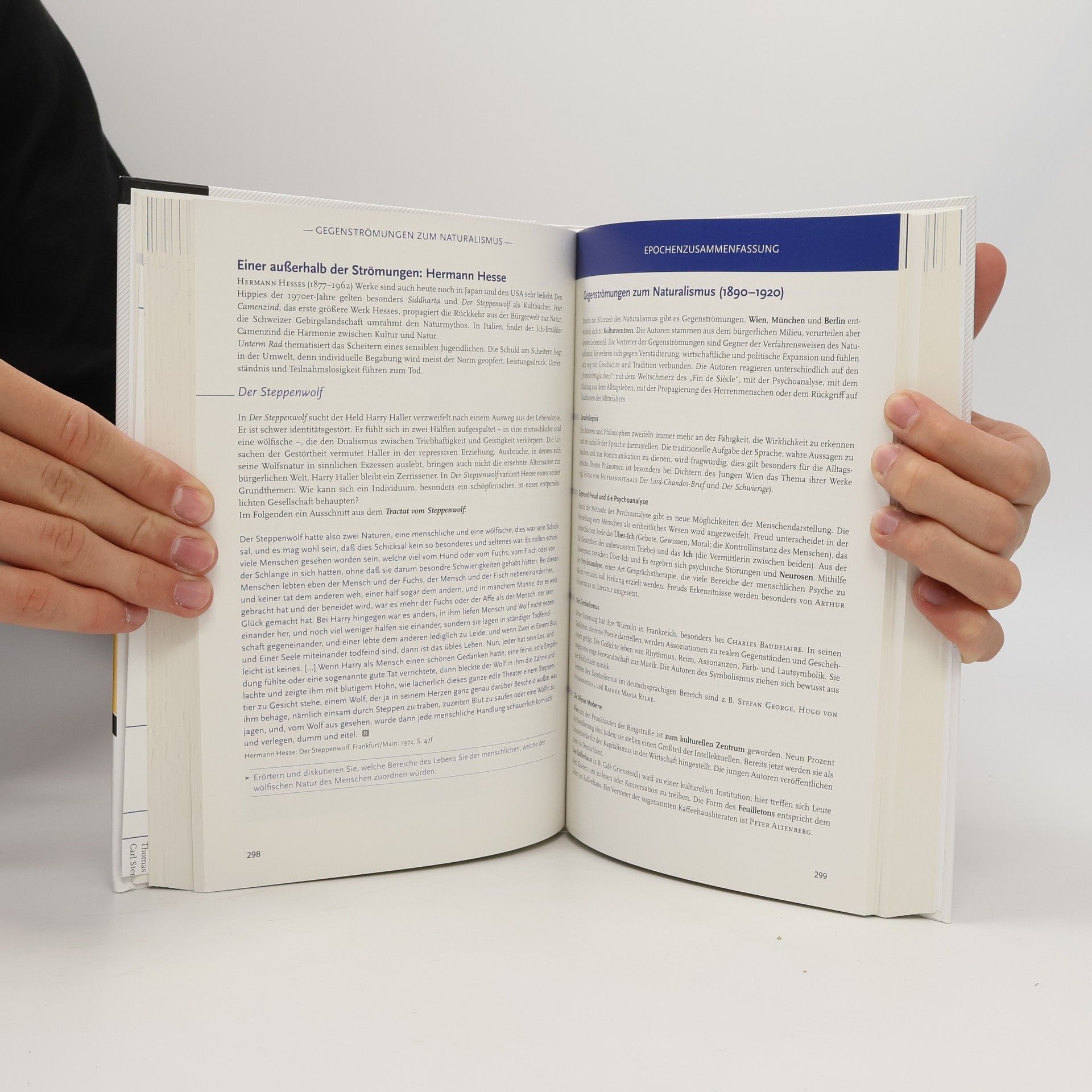 Kolektiv autorů Stichwort Literatur