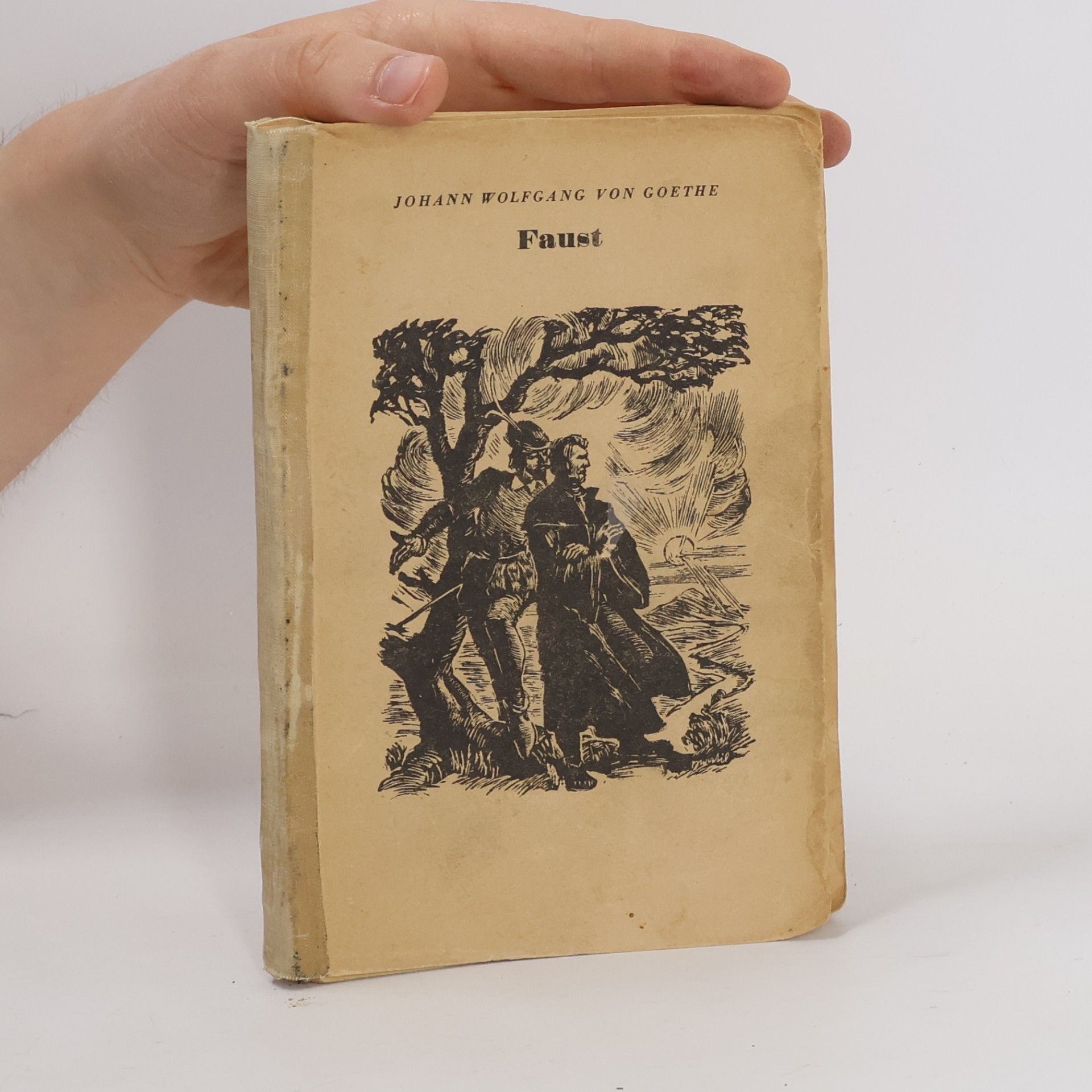 Johann Wolfgang von Goethe Faust