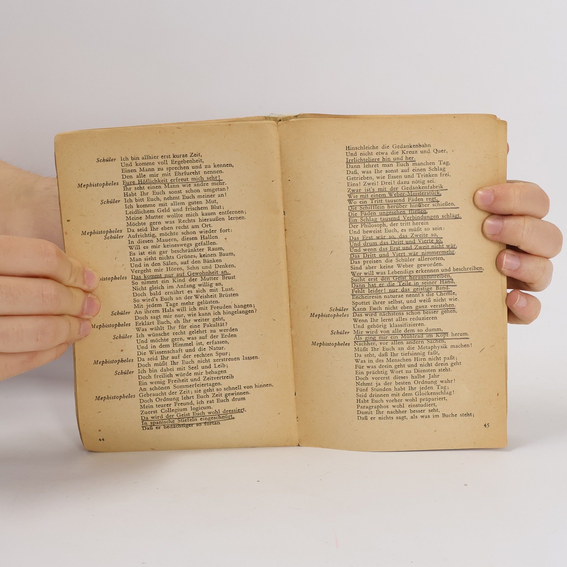 Johann Wolfgang von Goethe Faust