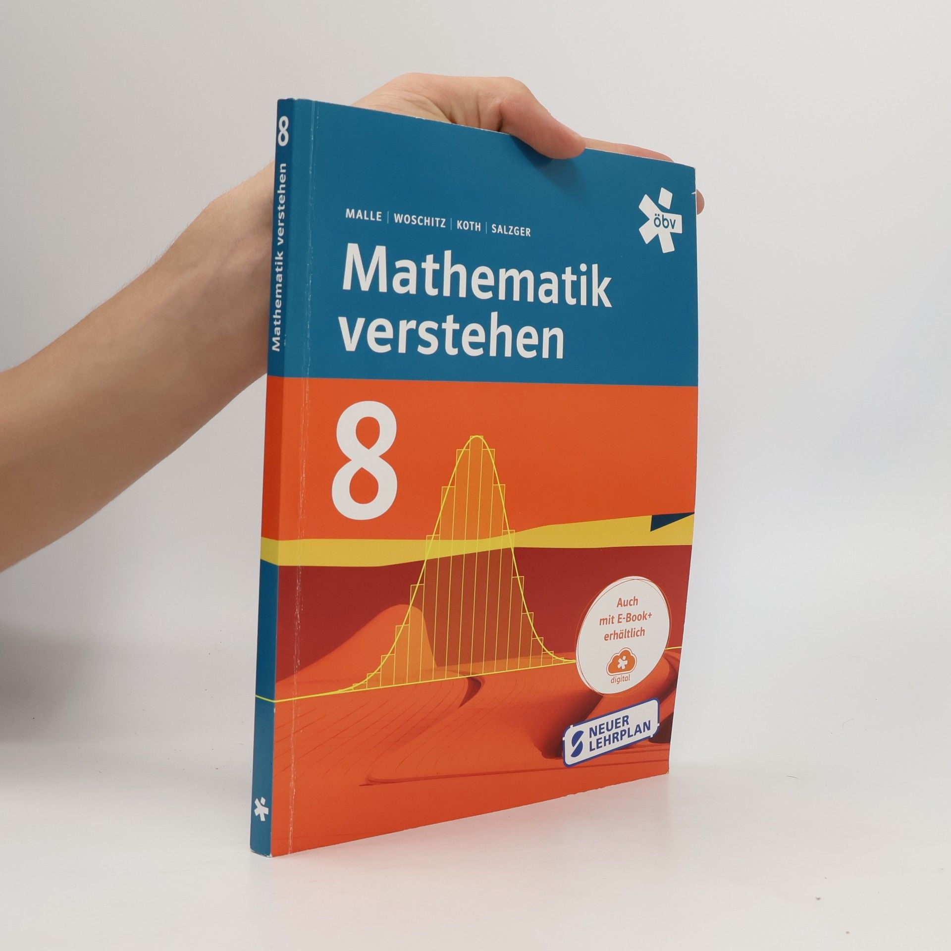 Günther Malle Mathematik verstehen 8