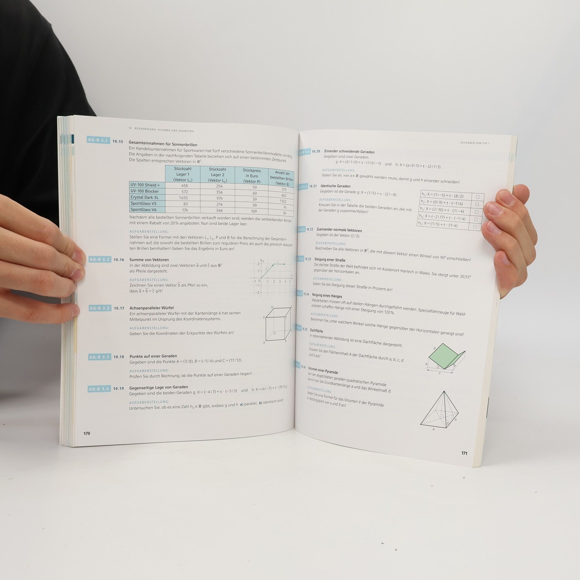 Günther Malle Mathematik verstehen 8