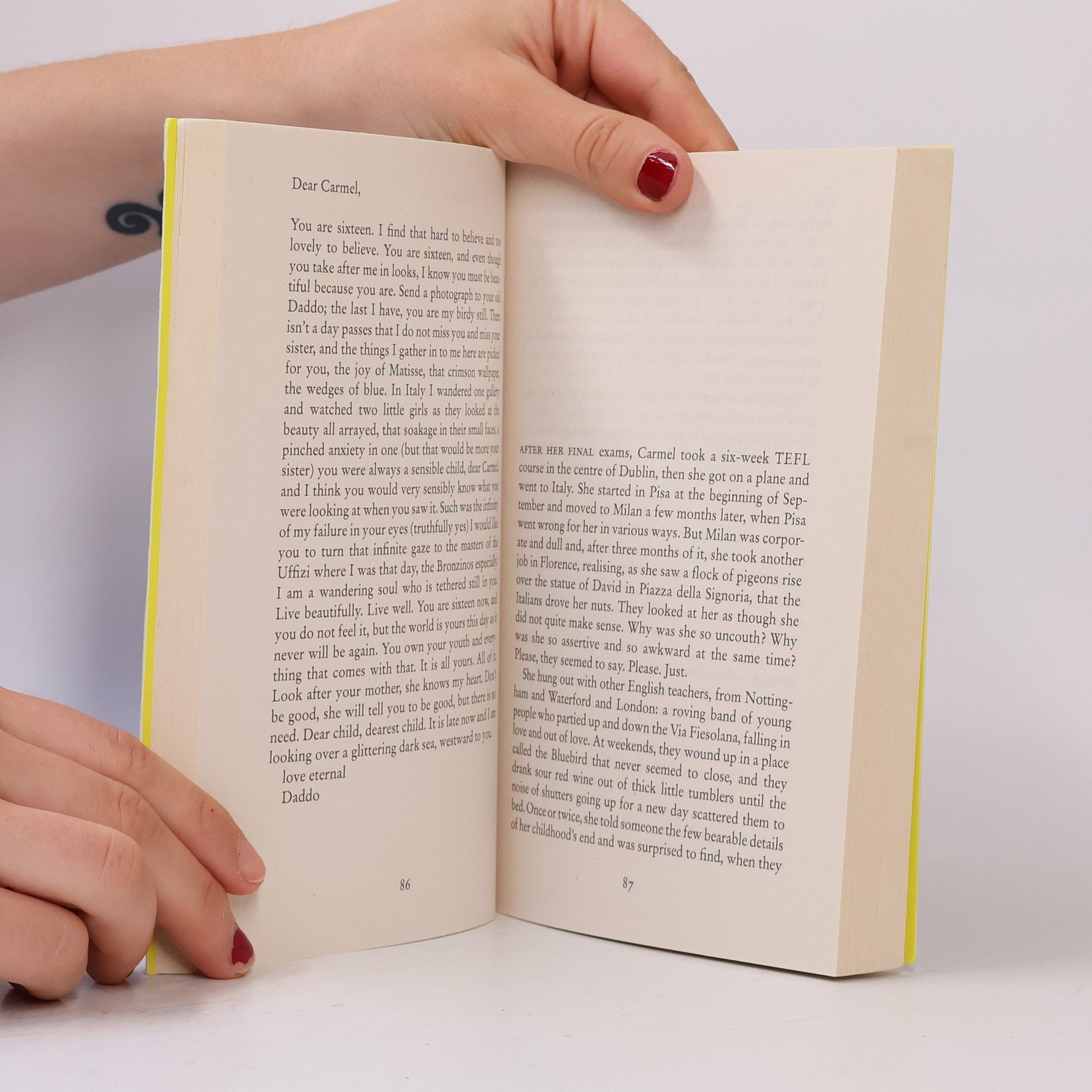 Anne Enright The Wren, The Wren: From the Booker Prize-winning author
