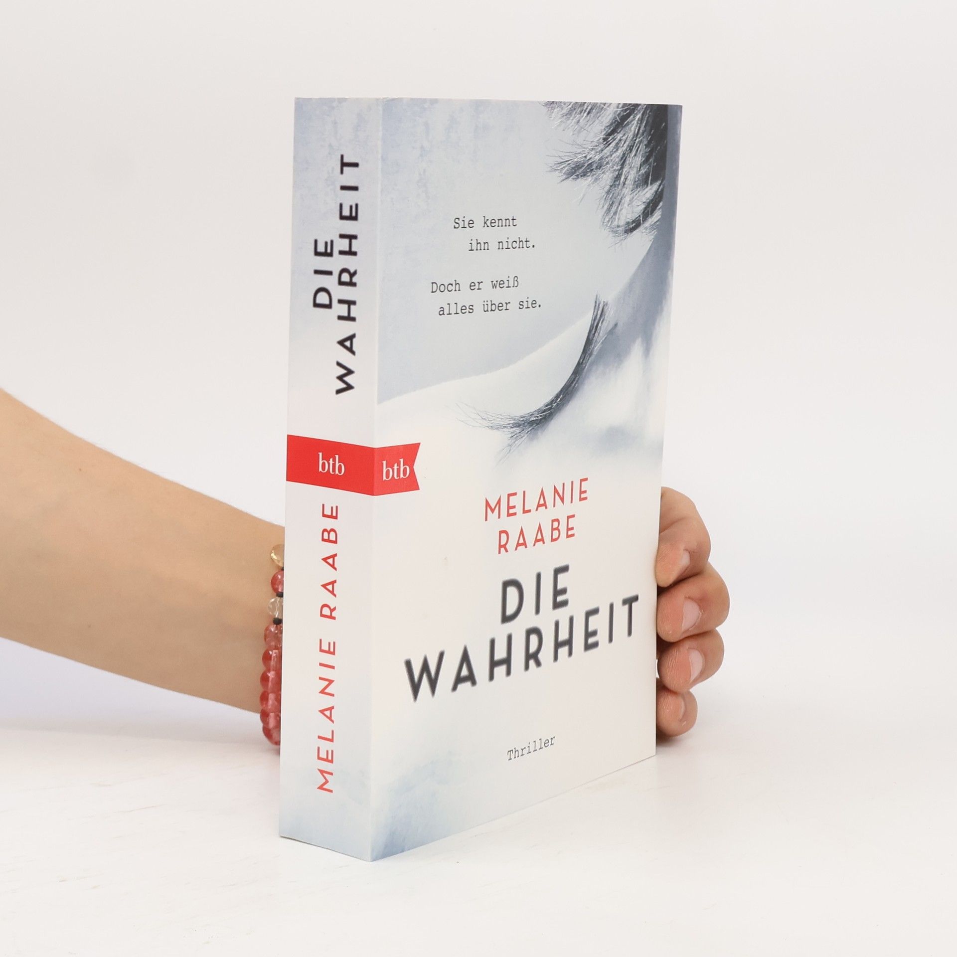 Melanie Raabe Die Wahrheit