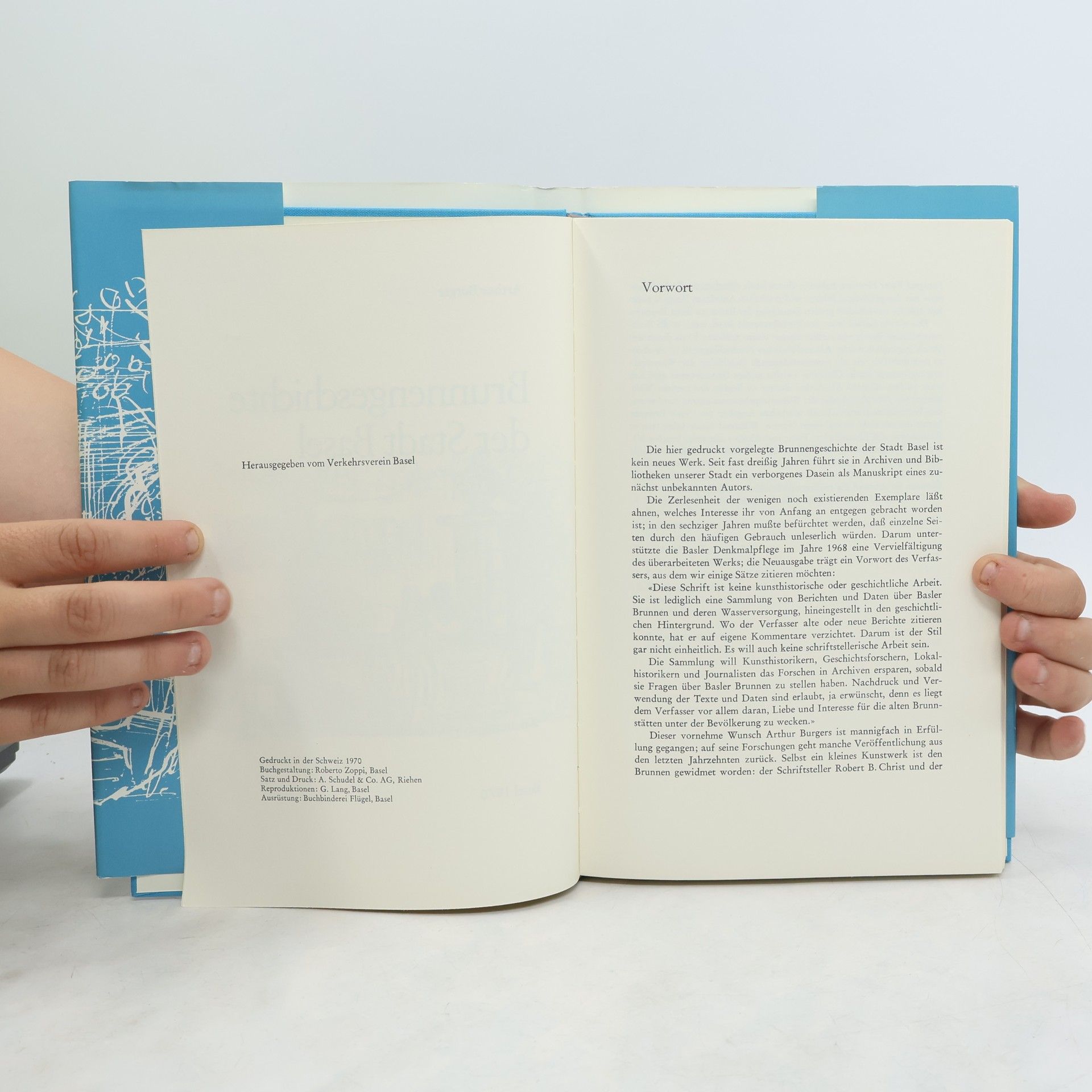 Arthur Neisser Brunnengeschichte der Stadt Basel