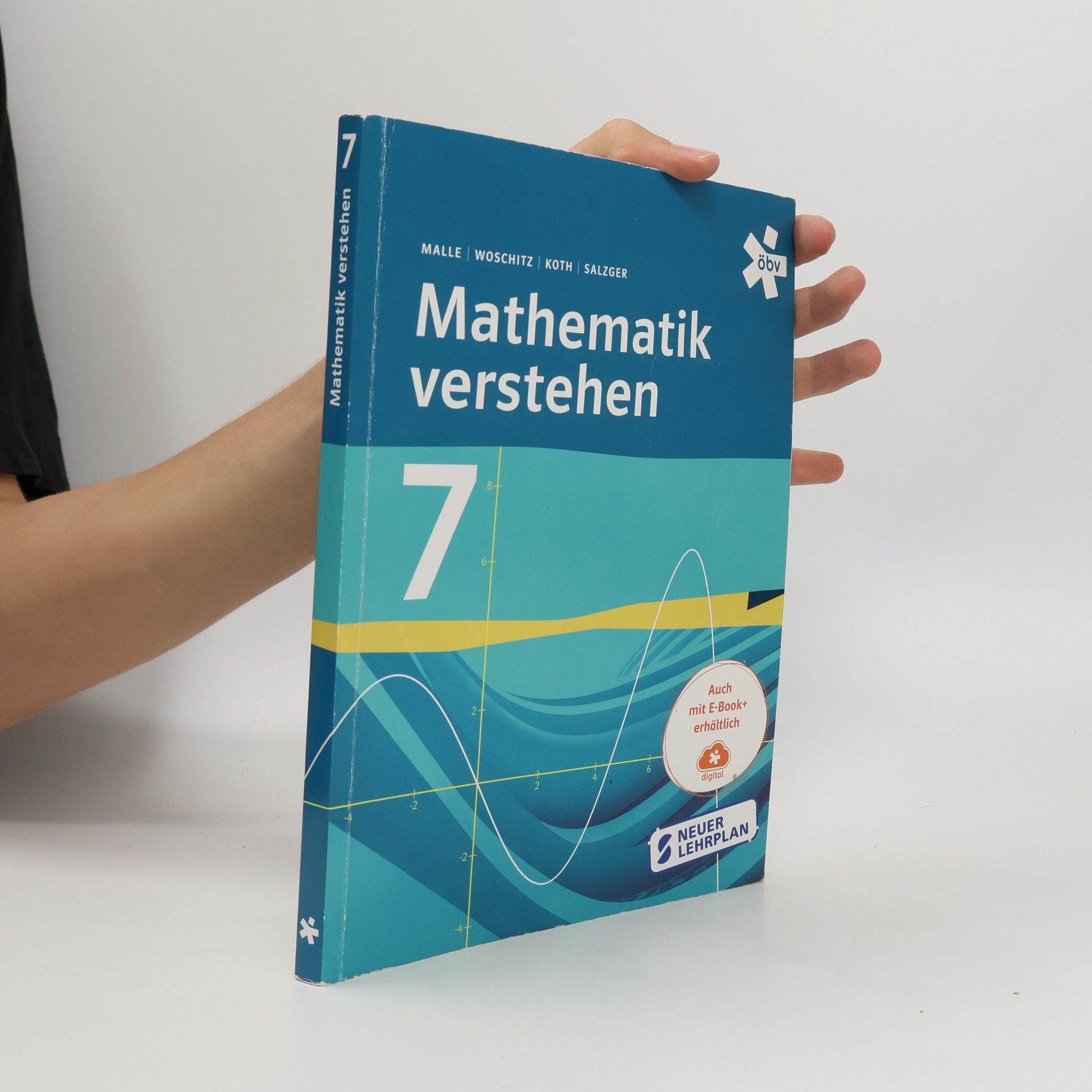 Mathematik verstehen 7