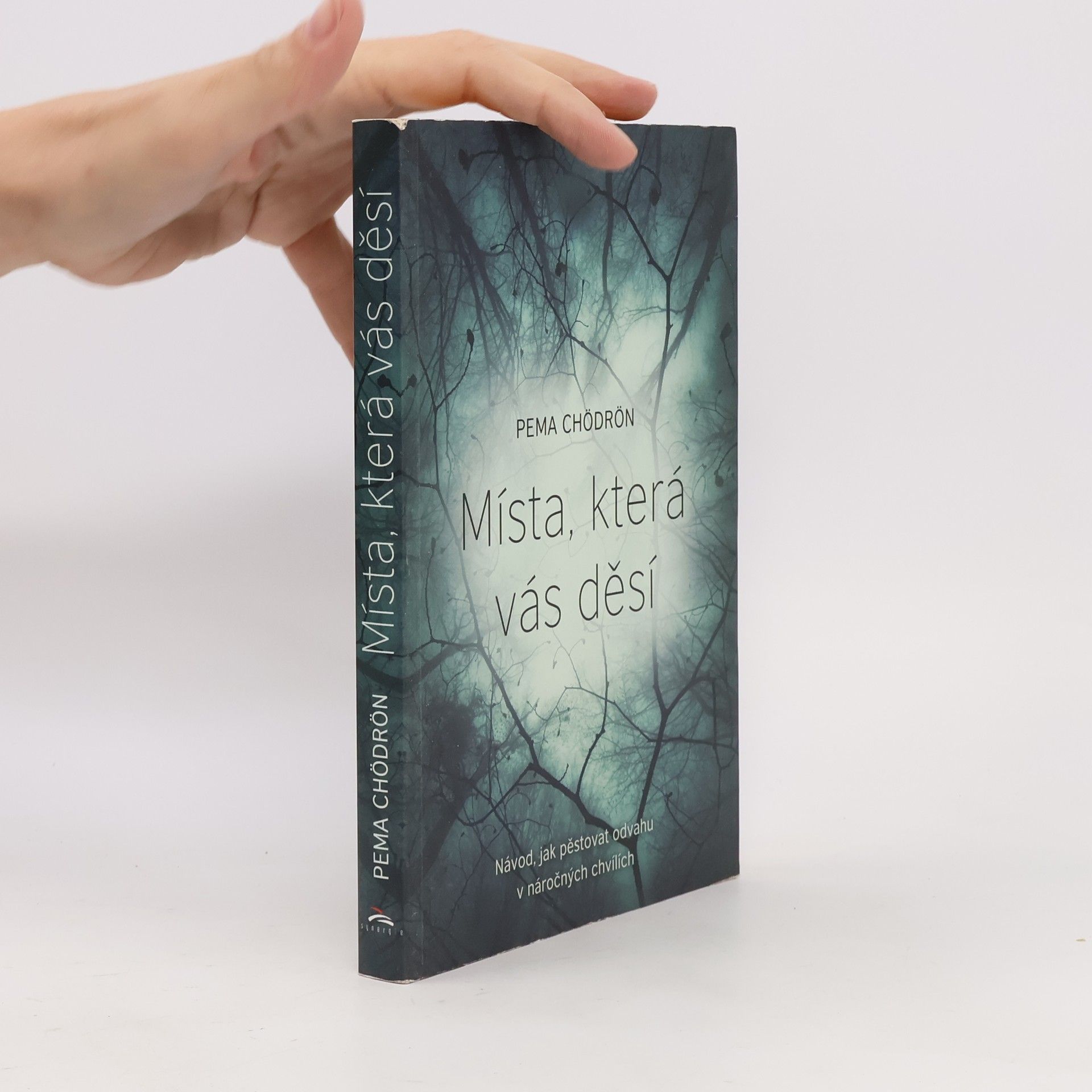 Pema Chödrön Místa, která vás děsí