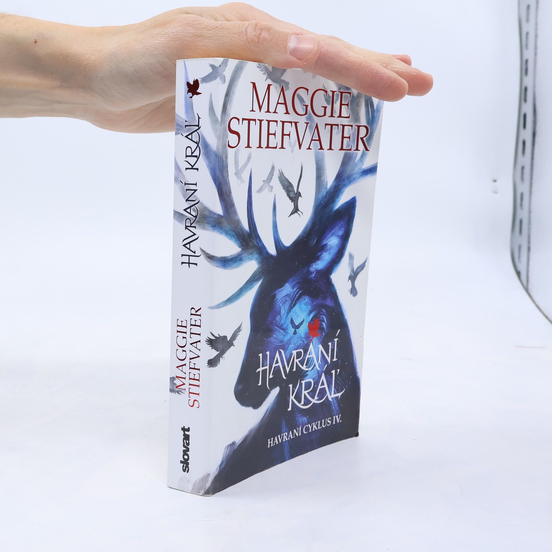 Maggie Stiefvater Havraní kráľ