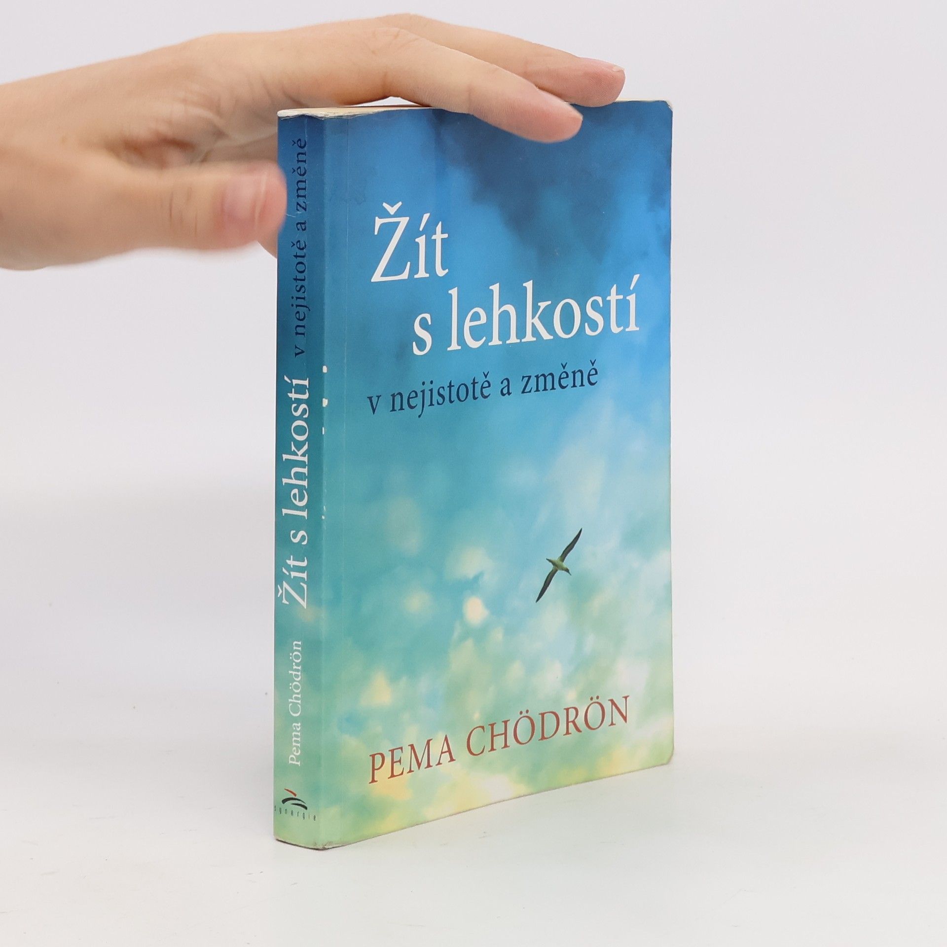 Pema Chödrön Žít s lehkostí