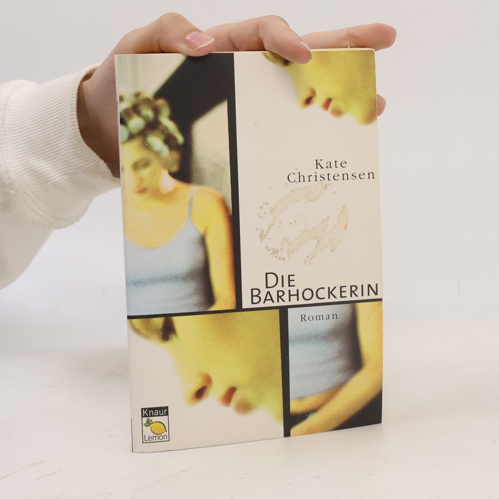 Kate Christensen Die Barhockerin