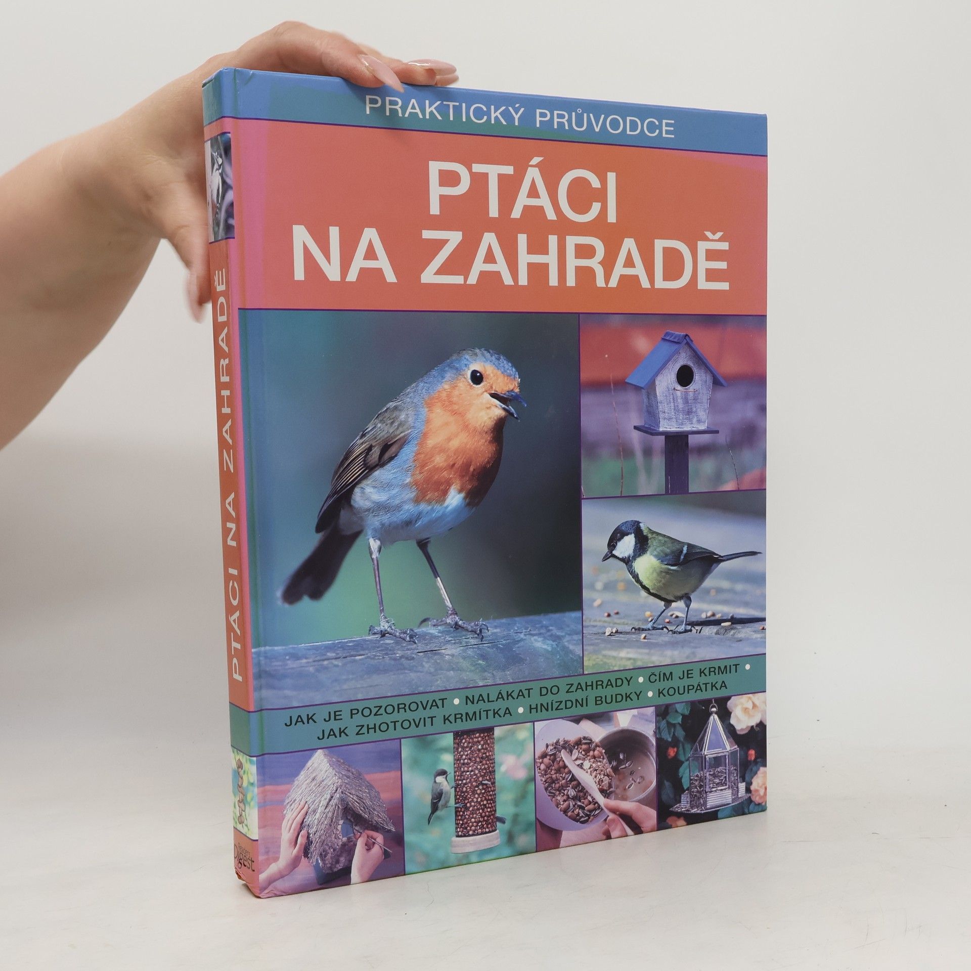 David Alderon Ptáci na zahradě