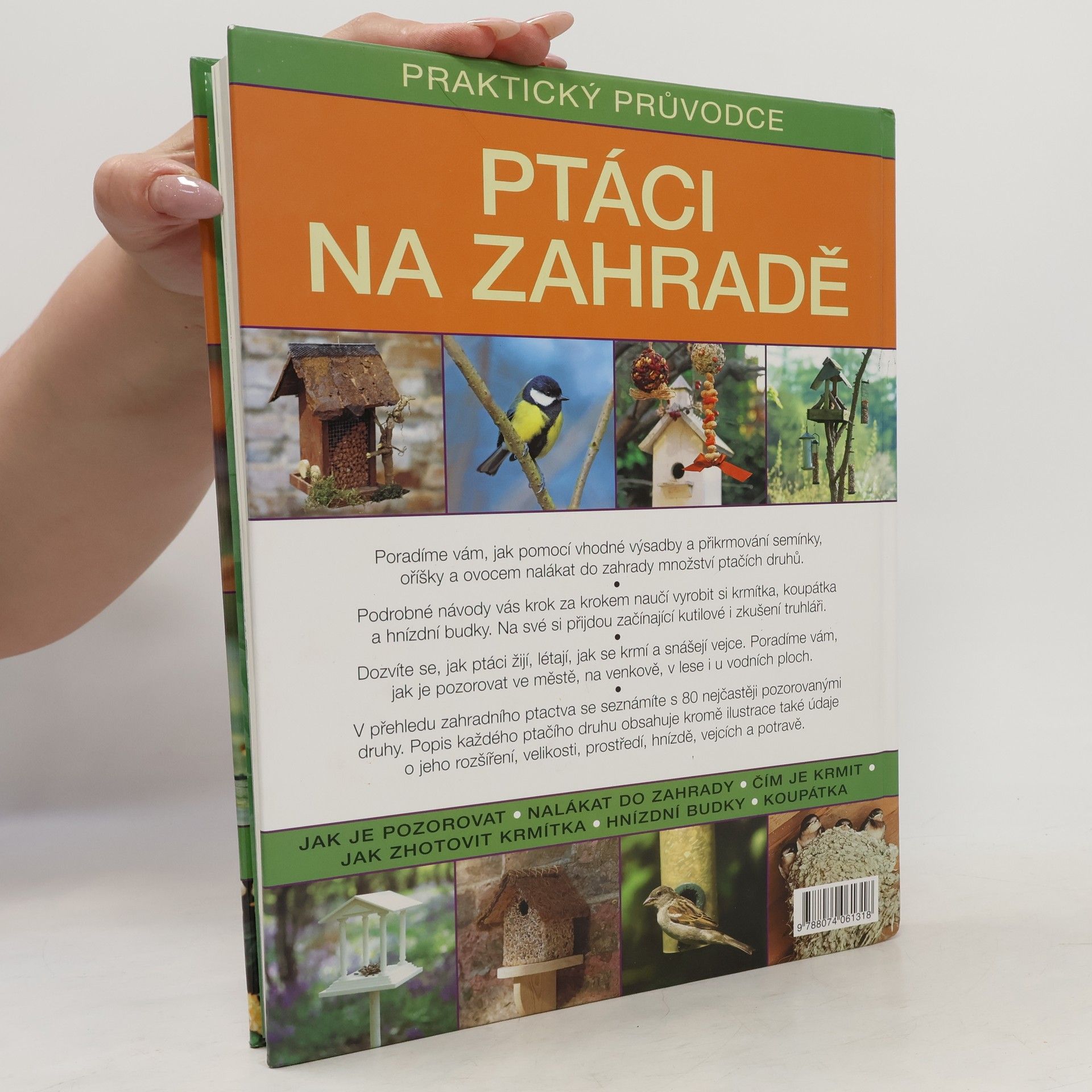 Christine Lavelle Ptáci na zahradě
