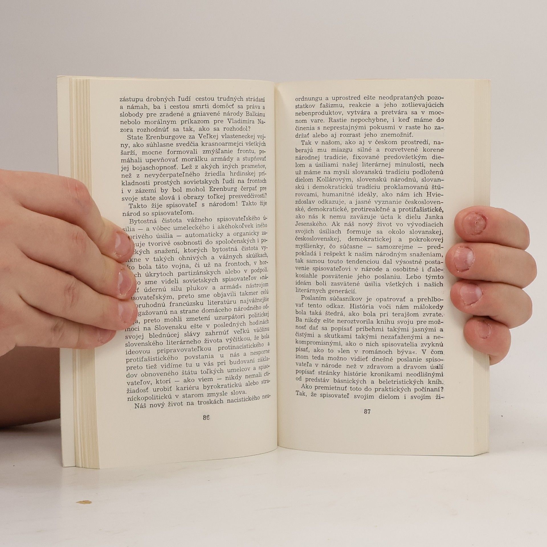 Laco Novomeský O literatúre