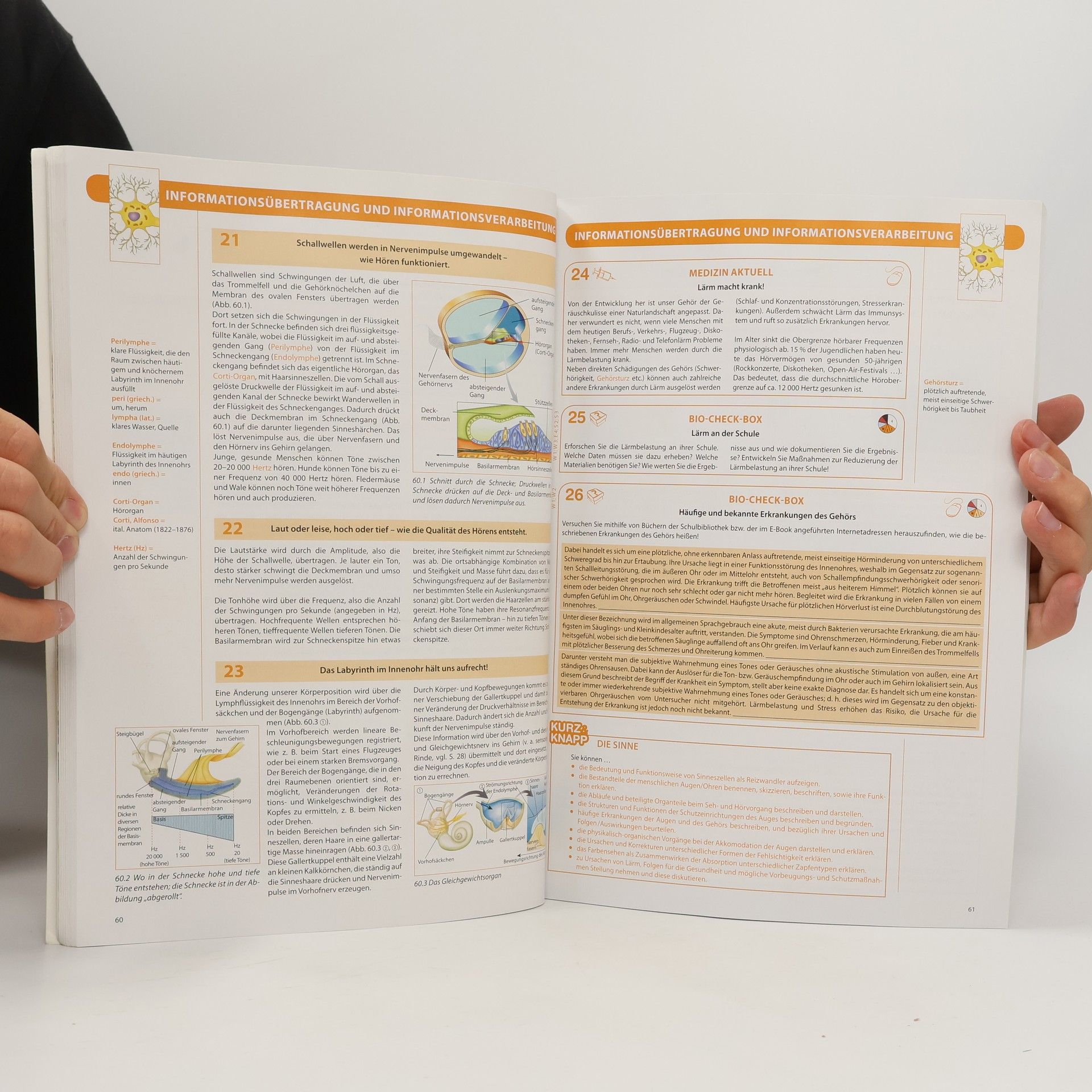 Autores varios Bio@school. Lehrplan 2017